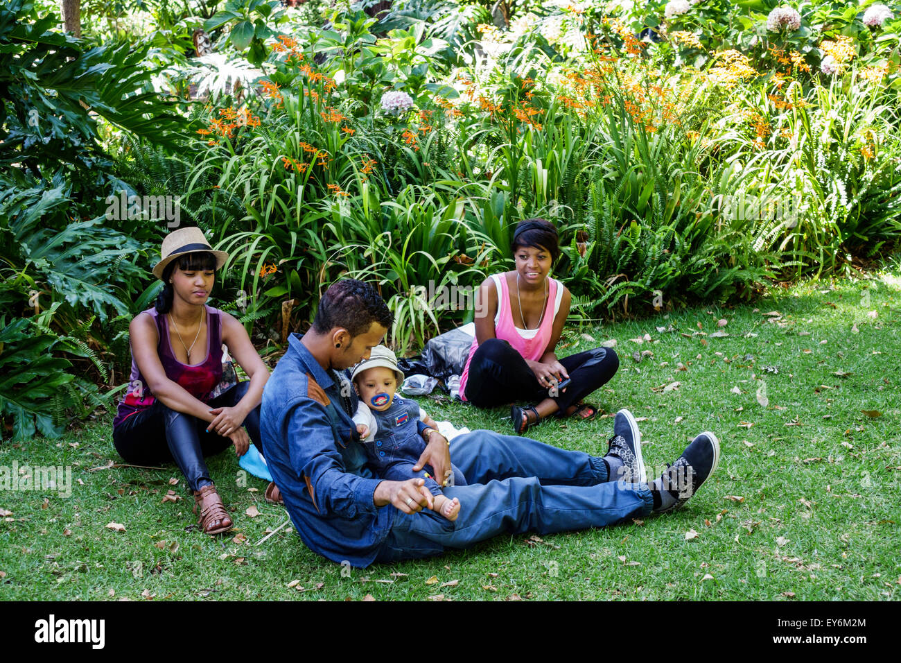 Kapstadt Südafrika,Afrika,Stadtzentrum,Zentrum,Government Avenue,Garten des Unternehmens,öffentlicher Park,Schwarze Afrikanische Afrikanische Afrikanische Afrikanische Minderheit,adu Stockfoto