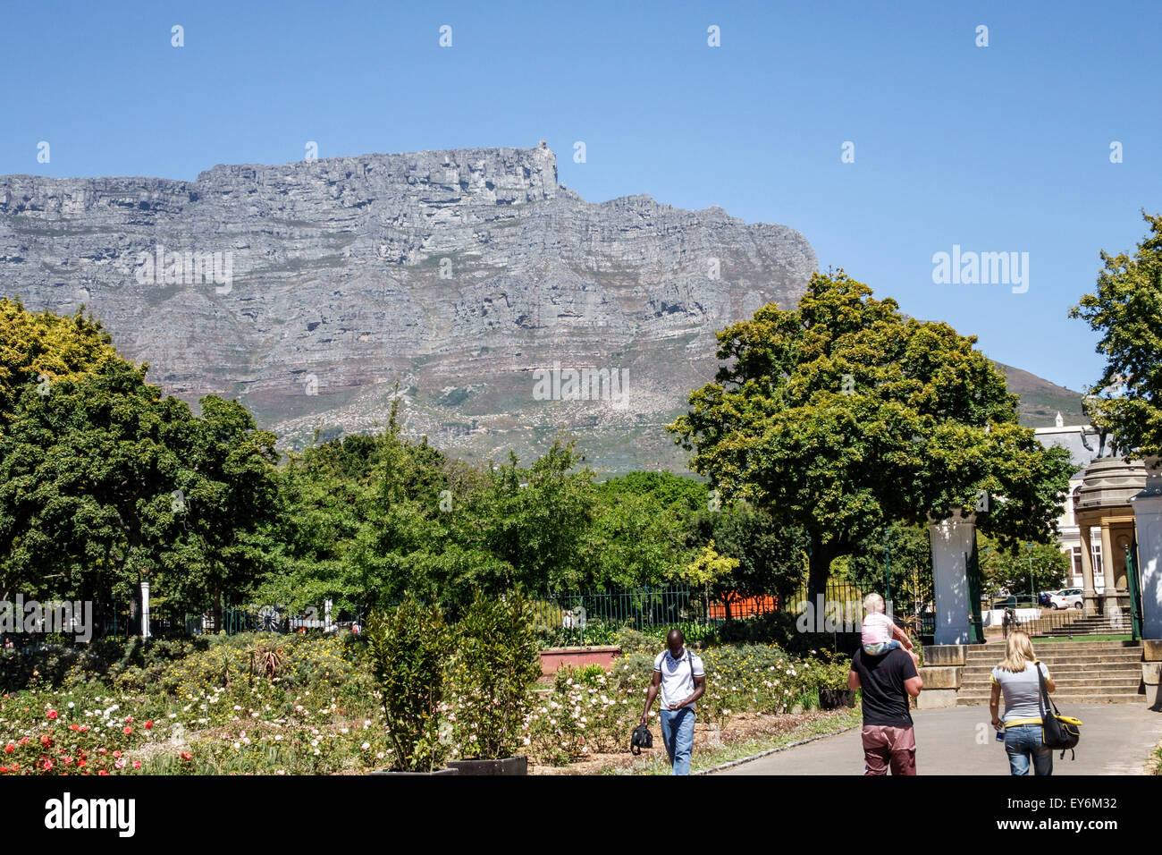 Kapstadt Südafrika,Afrika,Stadtzentrum,Zentrum,Government Avenue,The Company's Garden,öffentlicher Park,Table Mountain National Park,Besucher reisen Stockfoto