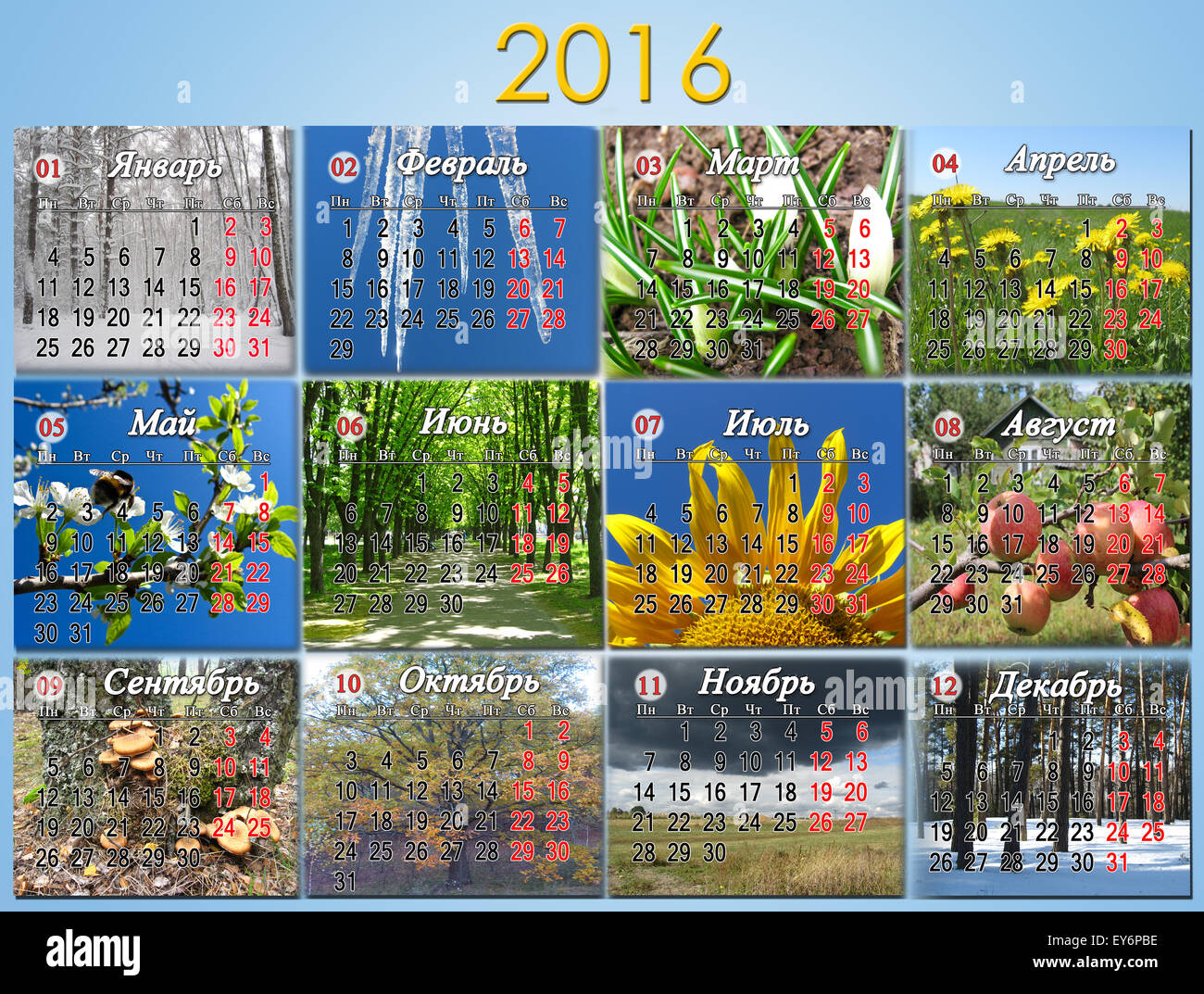 Kalender für das Jahr 2016 in russischer Sprache mit Foto der Natur für jeden Monat Stockfoto