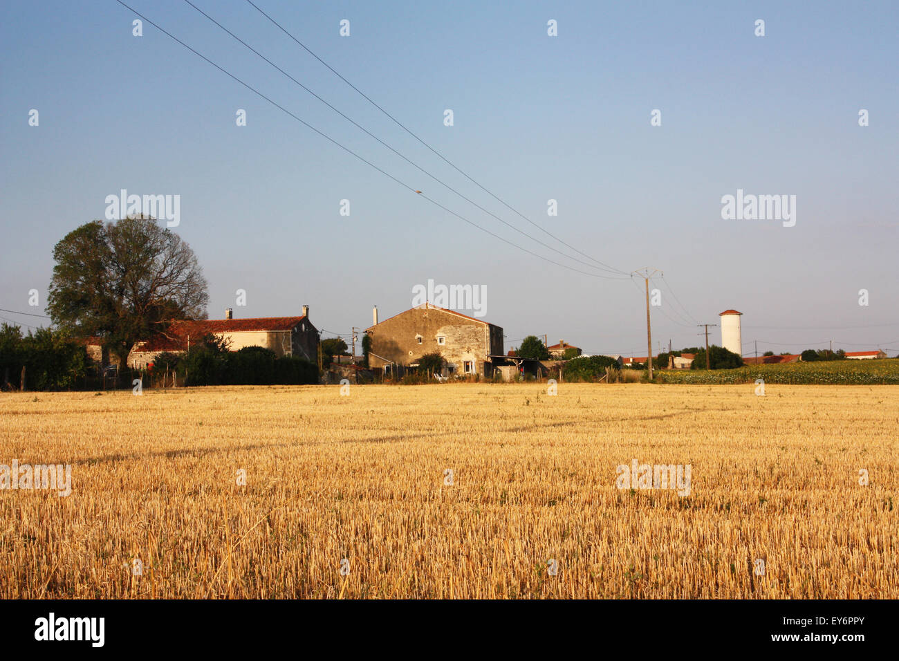 Landschaftsansicht Französisch ländliche Ackerland mit Reifen Weizenfeld im Vordergrund Stockfoto