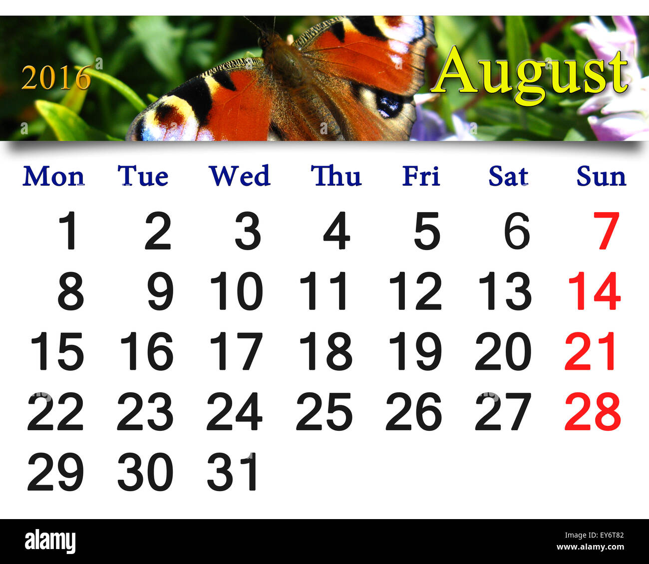 schöne Kalender für August 2016 mit Bild des Schmetterlings von Pfau Auge Stockfoto