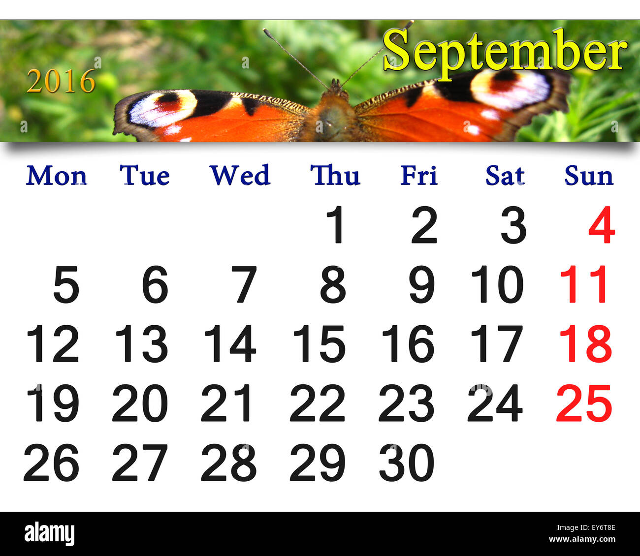 schöne Kalender für September 2016 mit Bild des Schmetterlings von Pfau Auge Stockfoto