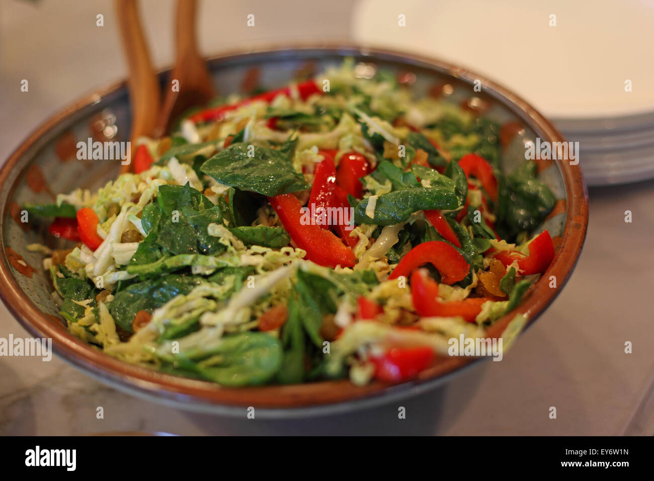 Frischer grüner Salat mit Chinakohl und Spinat Stockfoto