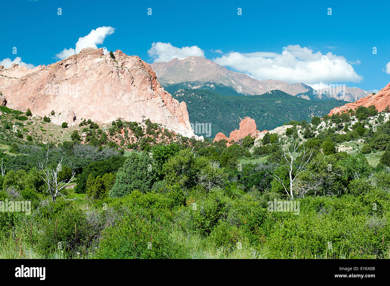 Alte rote Sandstein-Formationen zeigen 14.000 ft Pikes Peak in den Garten der Götter. Der Garten der Götter ist eines der beliebtesten Parks der Stadt in den Vereinigten Staaten und bietet urban Wandern, Klettern, Reiten und Radfahren in nur wenigen Minuten die Stadt Colorado Springs, Colorado. Stockfoto