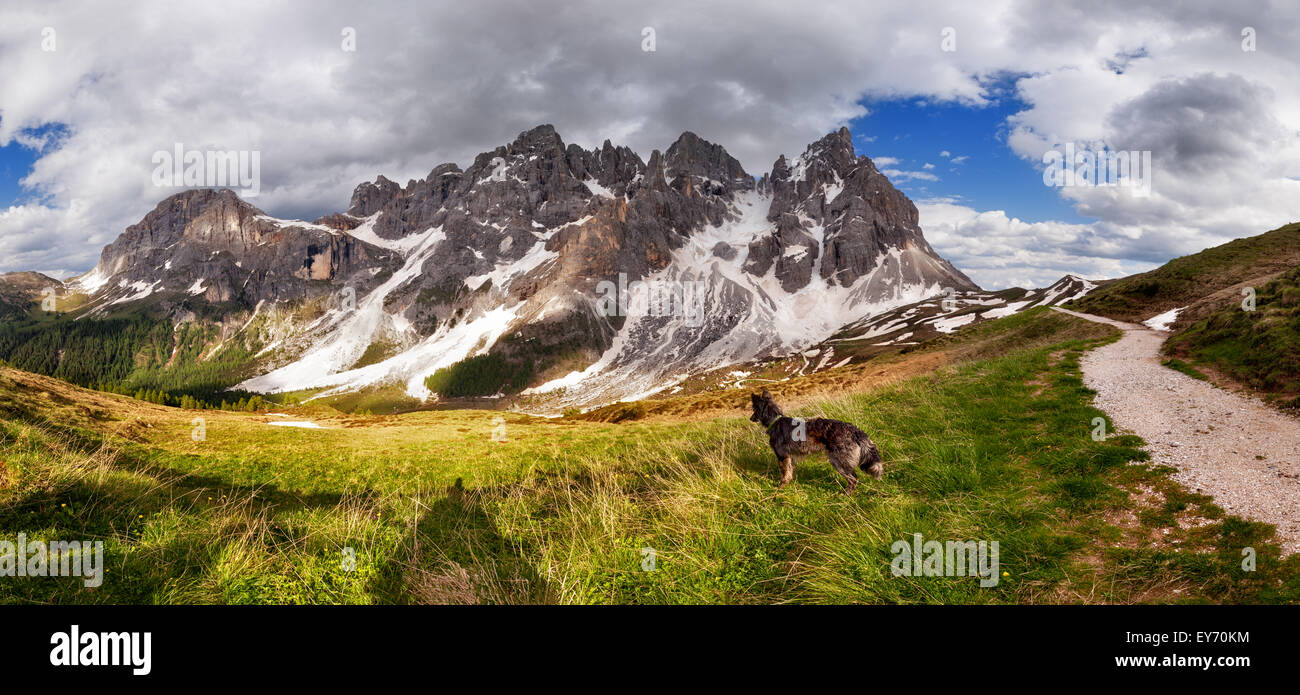Panorama der Pale di San Martino Berg, Dolomiten Alpen Italien Stockfoto