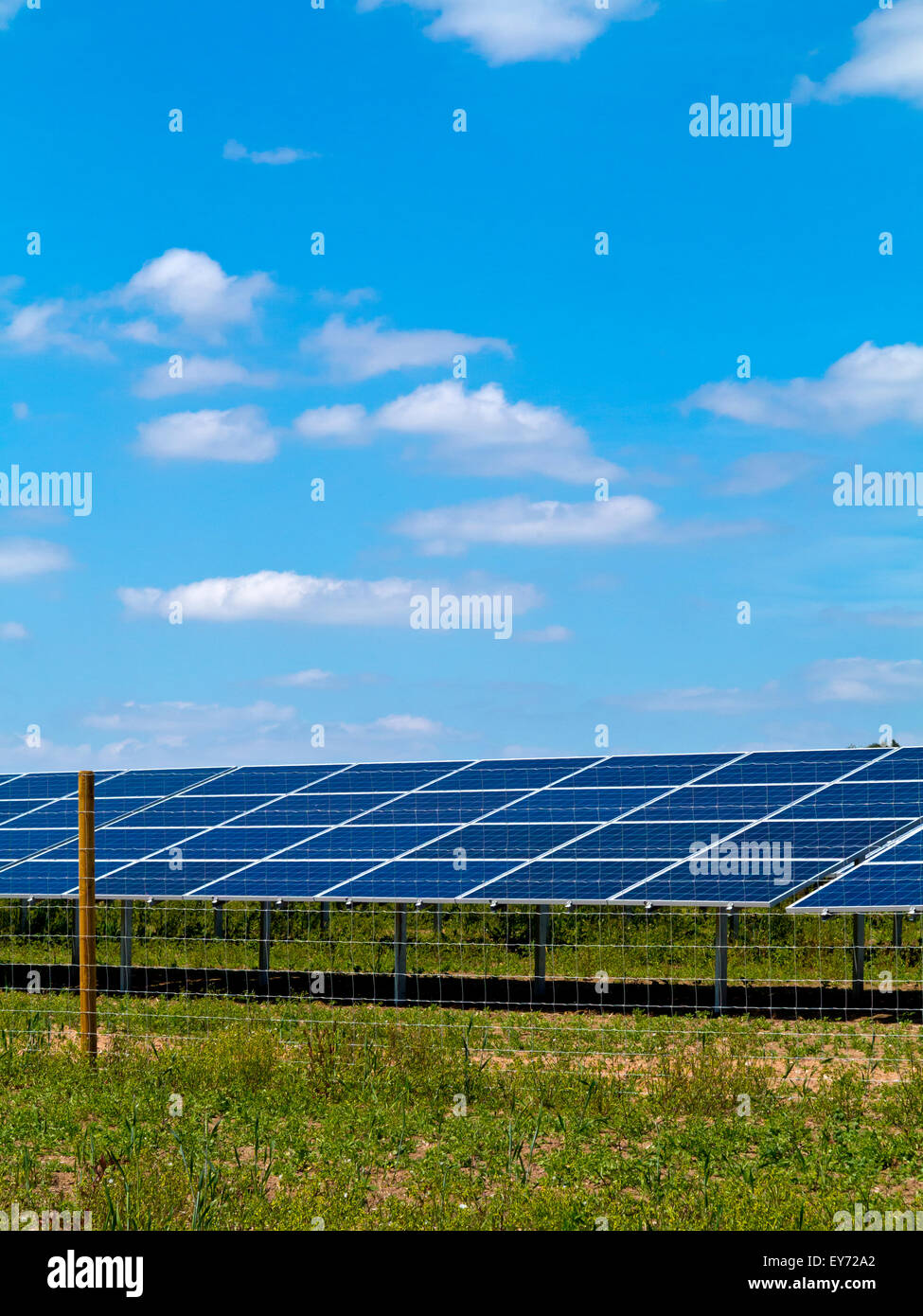 Photovoltaik- oder PV-Module auf ein Solarpark in Nottinghamshire, England UK verwendet, um saubere grüne erneuerbare Energie generieren Stockfoto