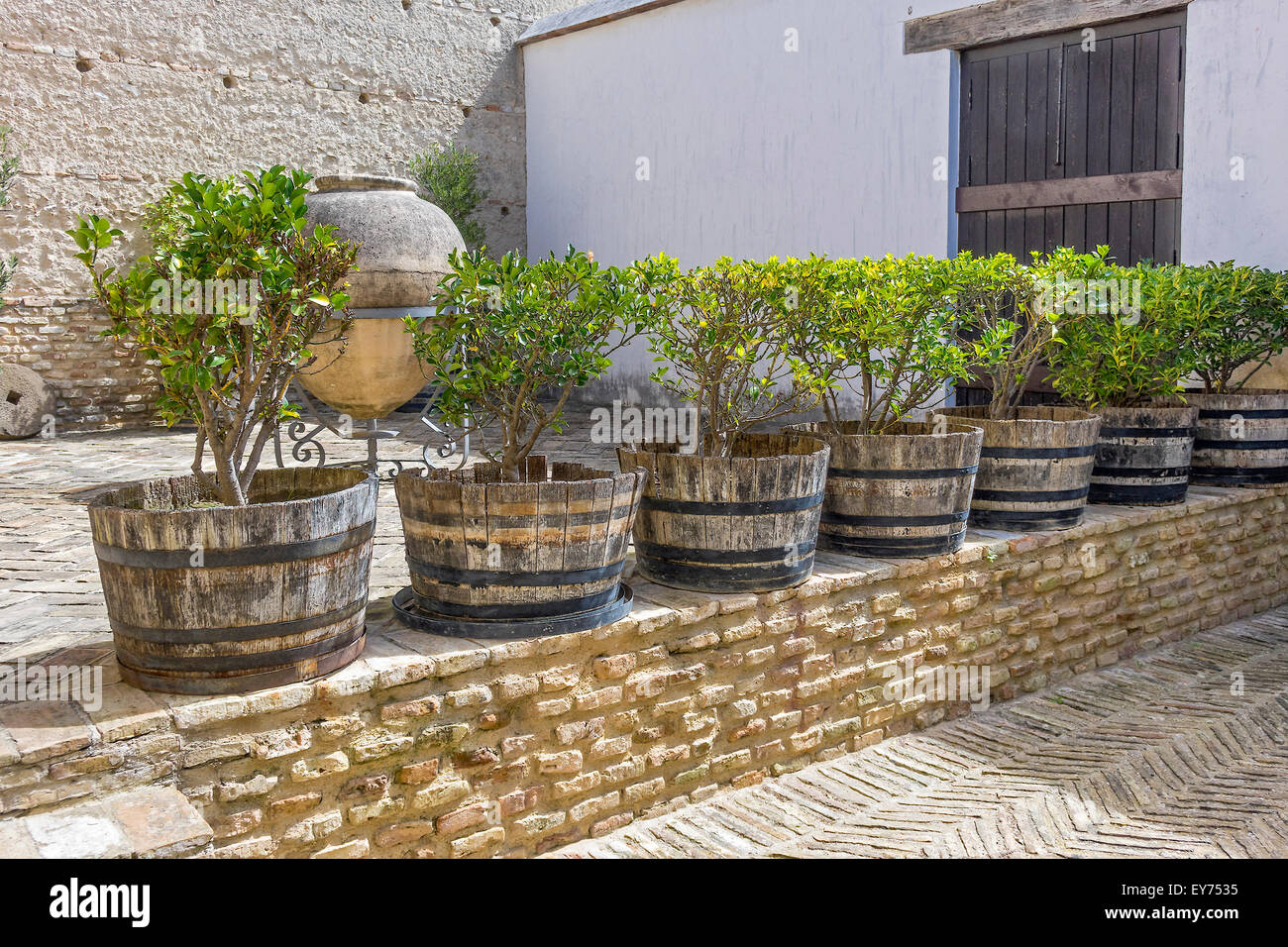 Terrasse mit Garten Töpfe Alcazar Jerez De La Frontera Andalusien Spanien Stockfoto