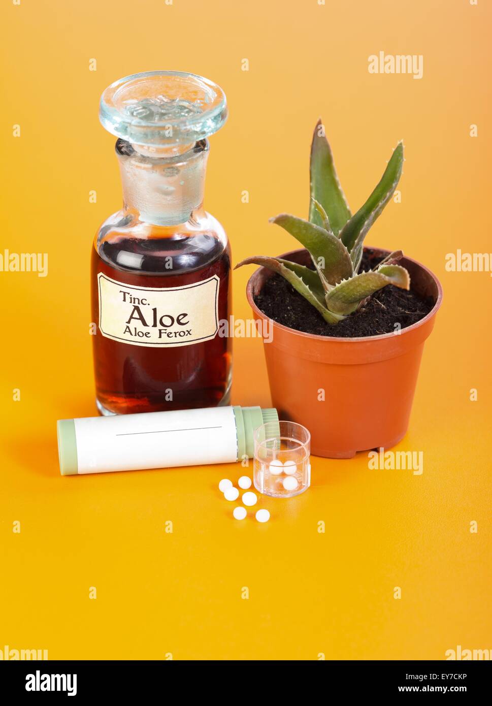 Aloe Ferox Pflanze, Extrakt und homöopathische Pillen auf orangem Hintergrund Stockfoto