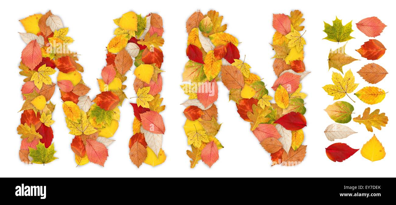 Buchstaben M und N hergestellt aus bunten Herbstblättern. Eigenständiges Design-Elemente befestigt Stockfoto