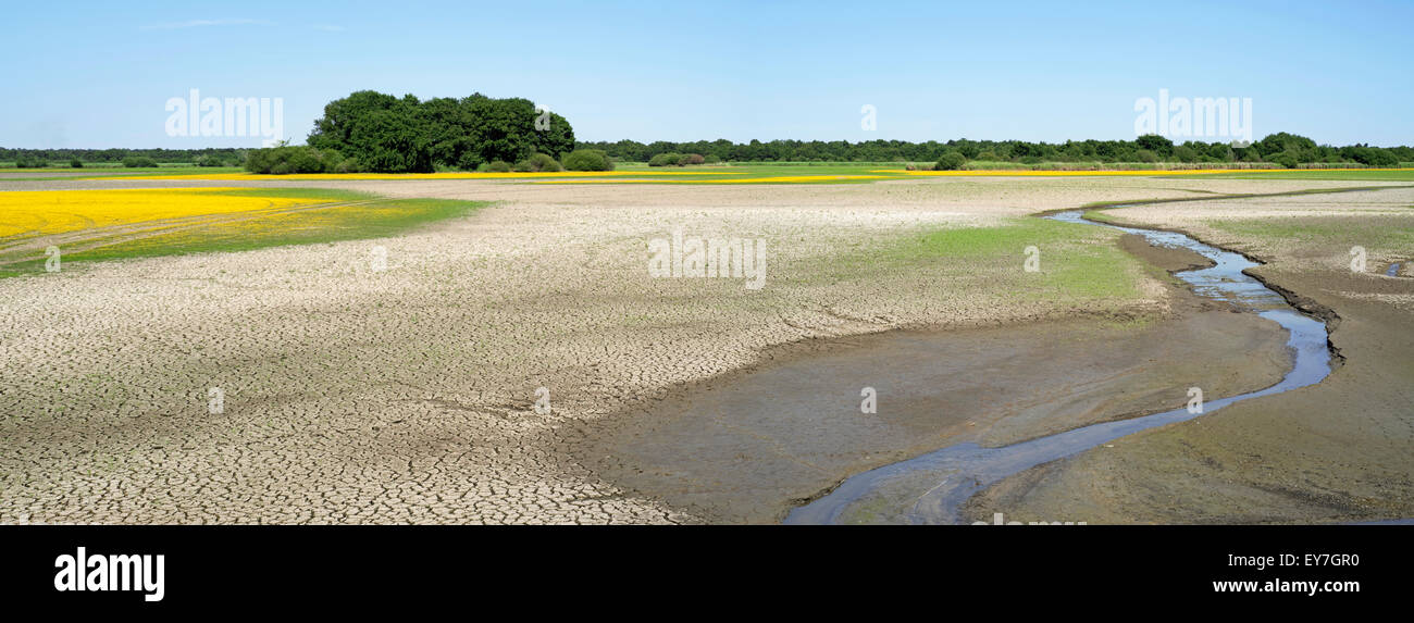 See entwässert / leere Etang du Blizon verwendet für Fischzucht im Parc Naturel Régional De La Brenne, Indre, Frankreich Stockfoto