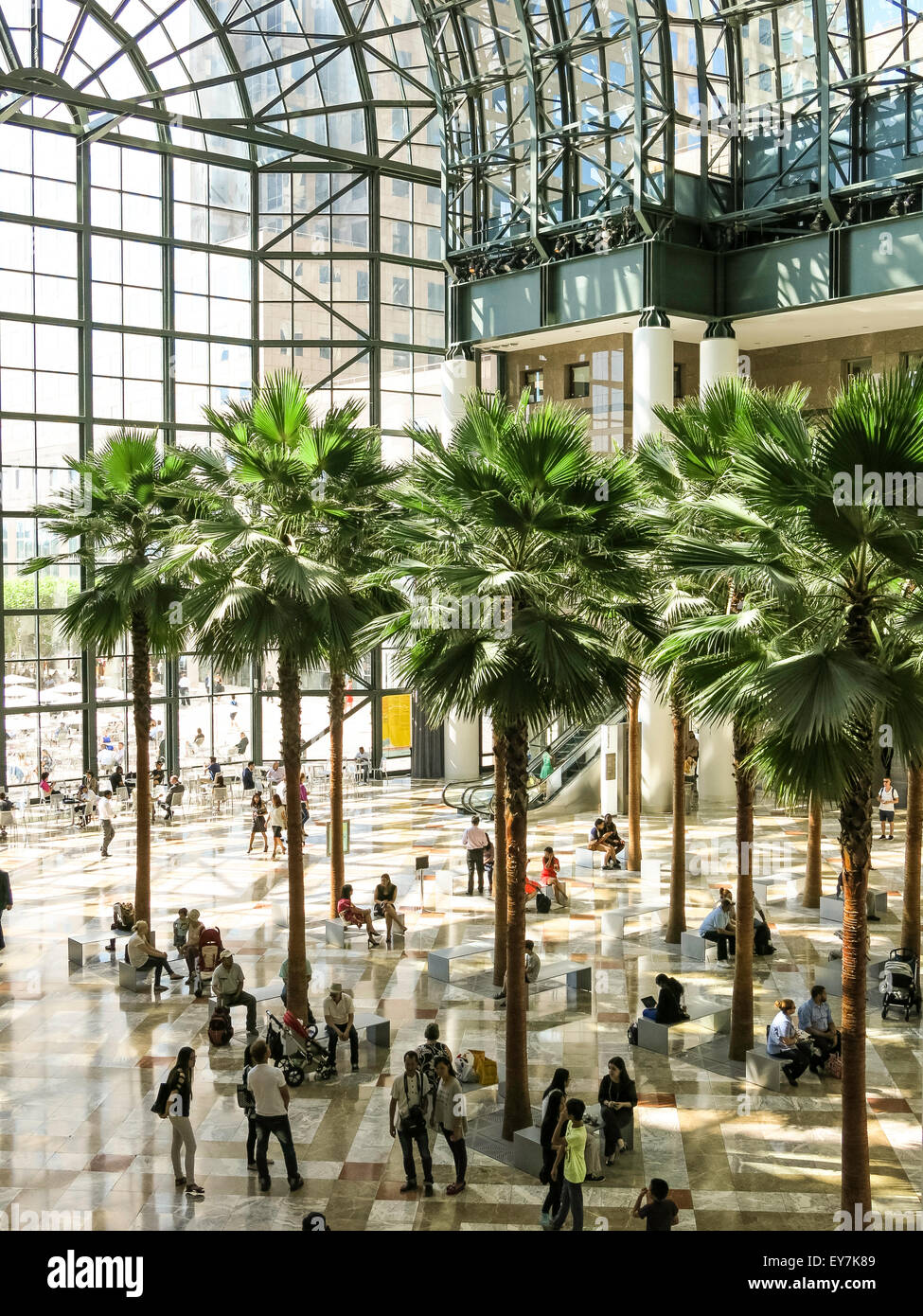 Interior Winter Garden Atrium Brookfield Stockfotos Interior