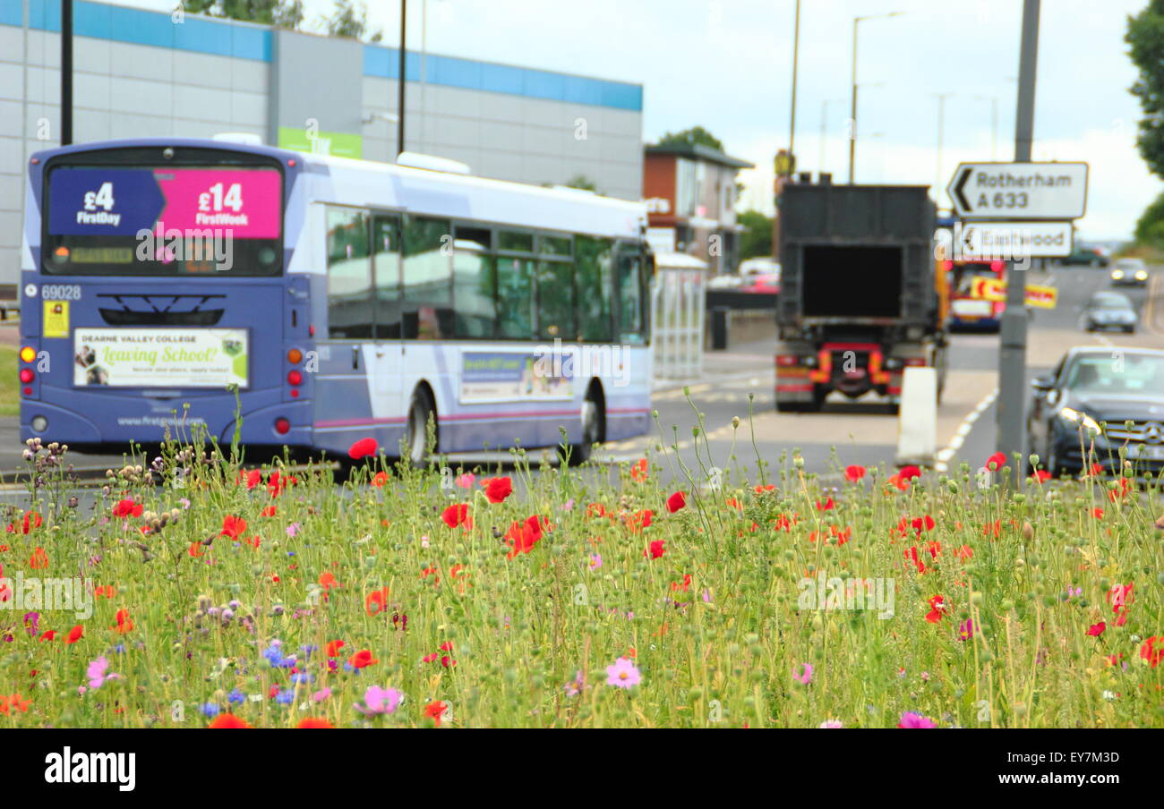 Traffic navigiert einen Kreisverkehr gesät mit Wildblumen im Parkgate, Rotherham, South Yorkshire England UK Stockfoto