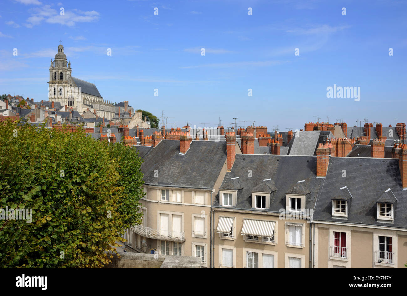 Frankreich, Loire-Tal, Blois, Häuser und Kathedrale Stockfoto