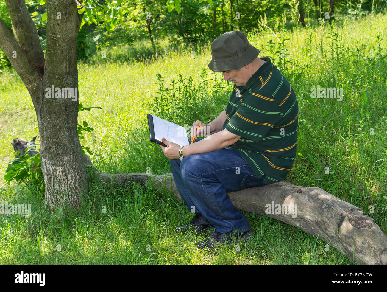 Reife Maler tun Skizze im freien Stockfoto