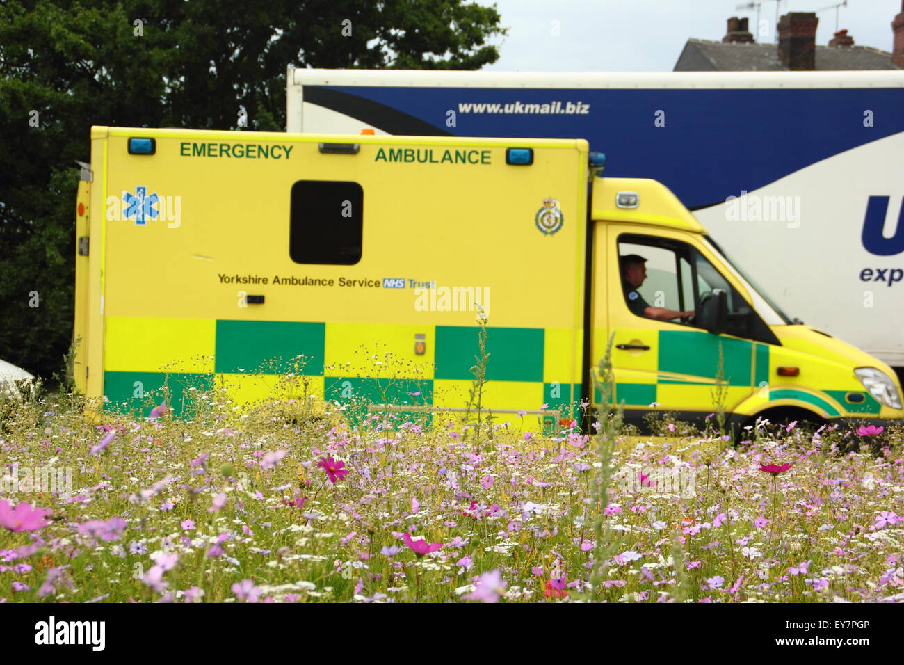 Ein South Yorkshire Krankenwagen Warteschlangen im Datenverkehr, der durch eine Kante Originalmalereien mit Eingesäten Wildblumen in Rotherham South Yorkshire England Großbritannien Stockfoto