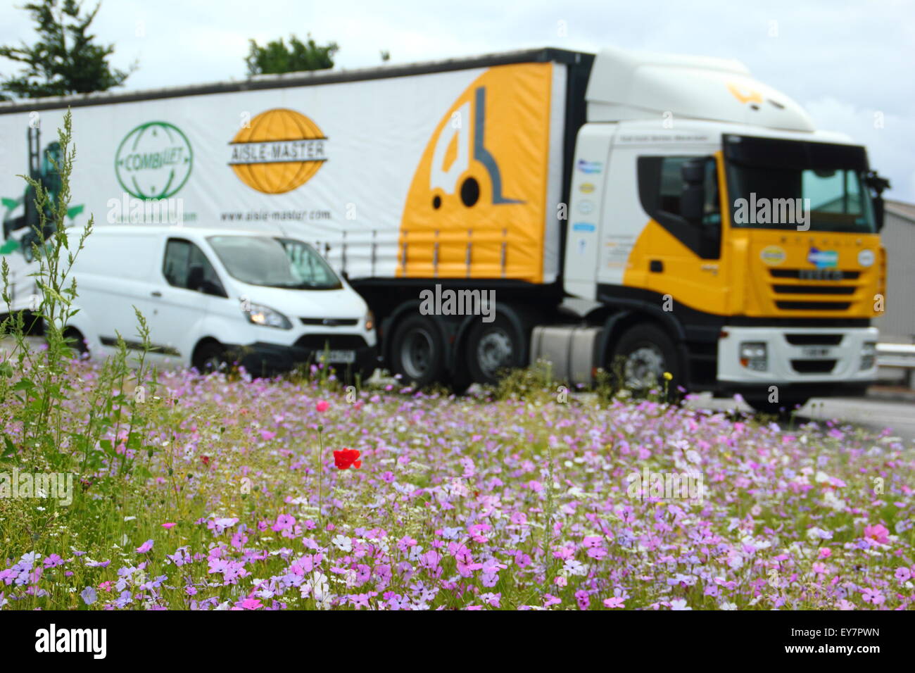 Stau von einer am Straßenrand Kante behängt mit Wildblumen in Rotherham, South Yorkshire, UK - Sommer, 2015 Stockfoto