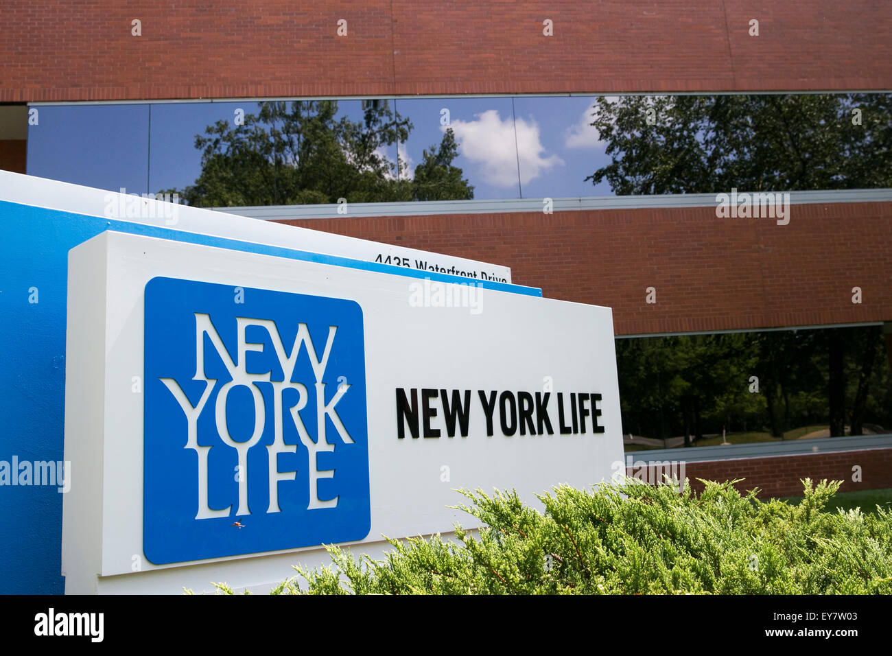 Ein Logo Zeichen außerhalb einer Einrichtung, die von der New York Life Insurance Company in Glen Allen, Virginia am 19. Juli 2015 besetzt. Stockfoto