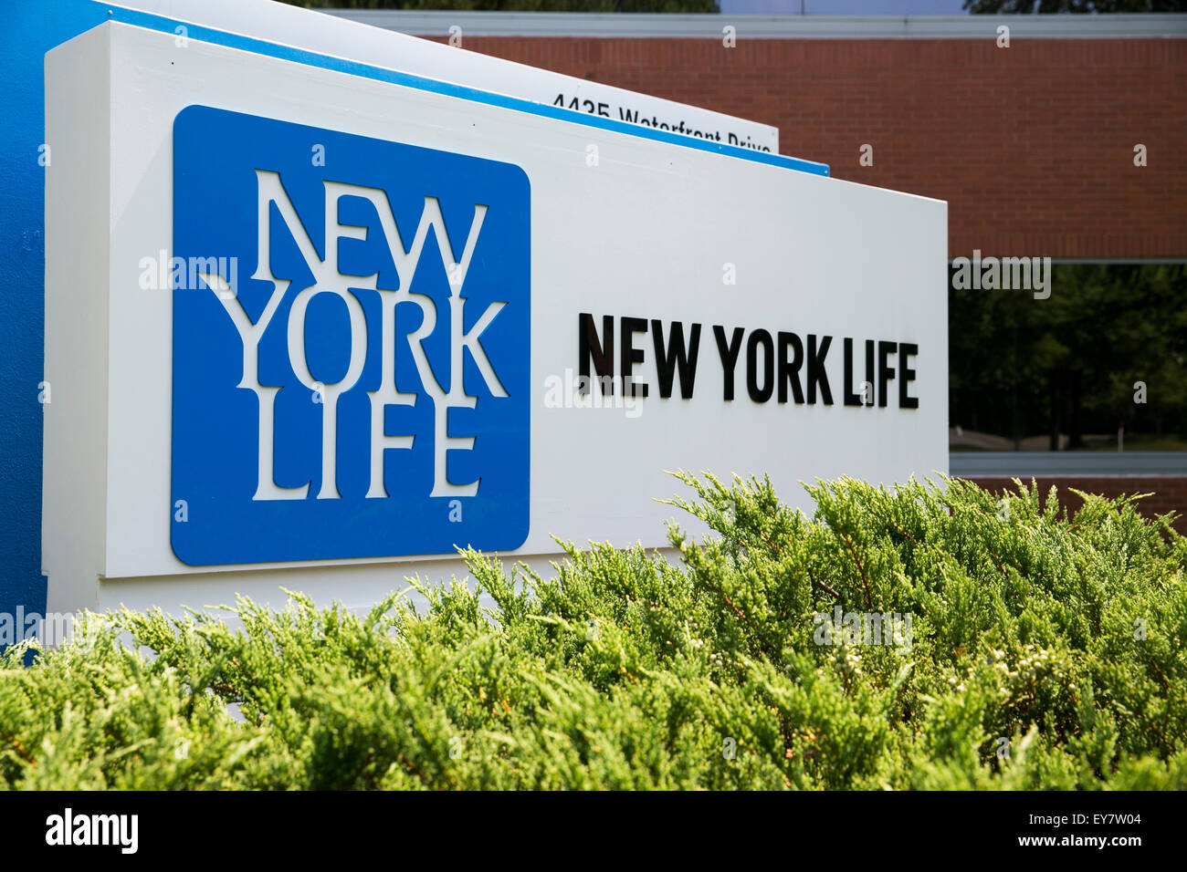 Ein Logo Zeichen außerhalb einer Einrichtung, die von der New York Life Insurance Company in Glen Allen, Virginia am 19. Juli 2015 besetzt. Stockfoto