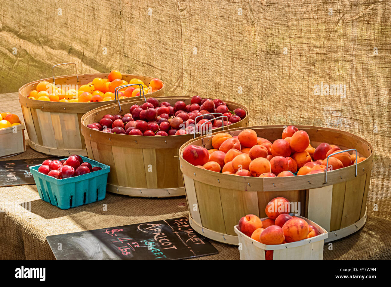 Bauern Markt frisches Obst in Körben Stockfoto