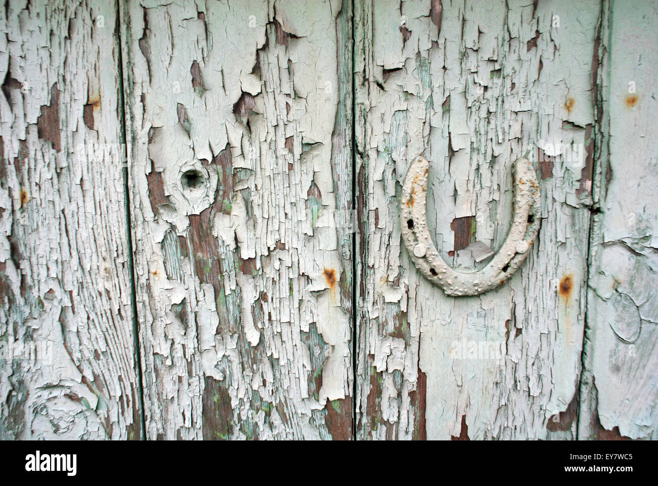 Hufeisen an alte abgenutzte Tür genagelt / Peeling Holzarbeiten Stockfoto