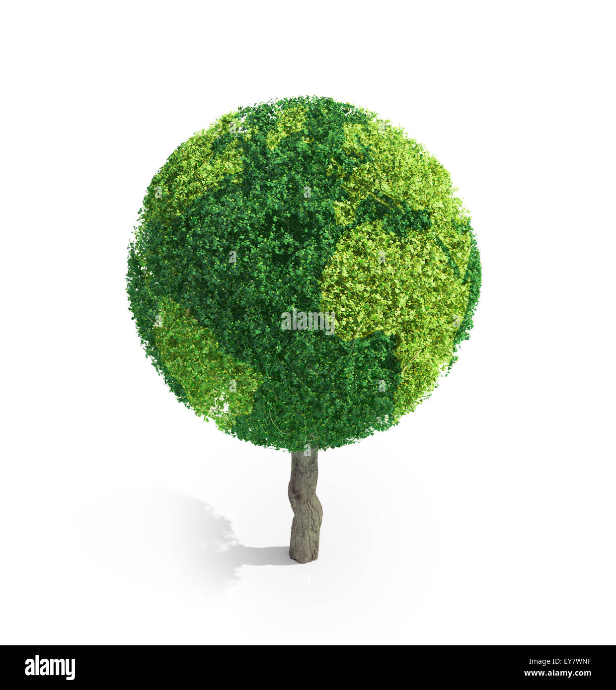 Weltkugel aus grün geformte Blätter - Ökologie-Konzept Stockfoto