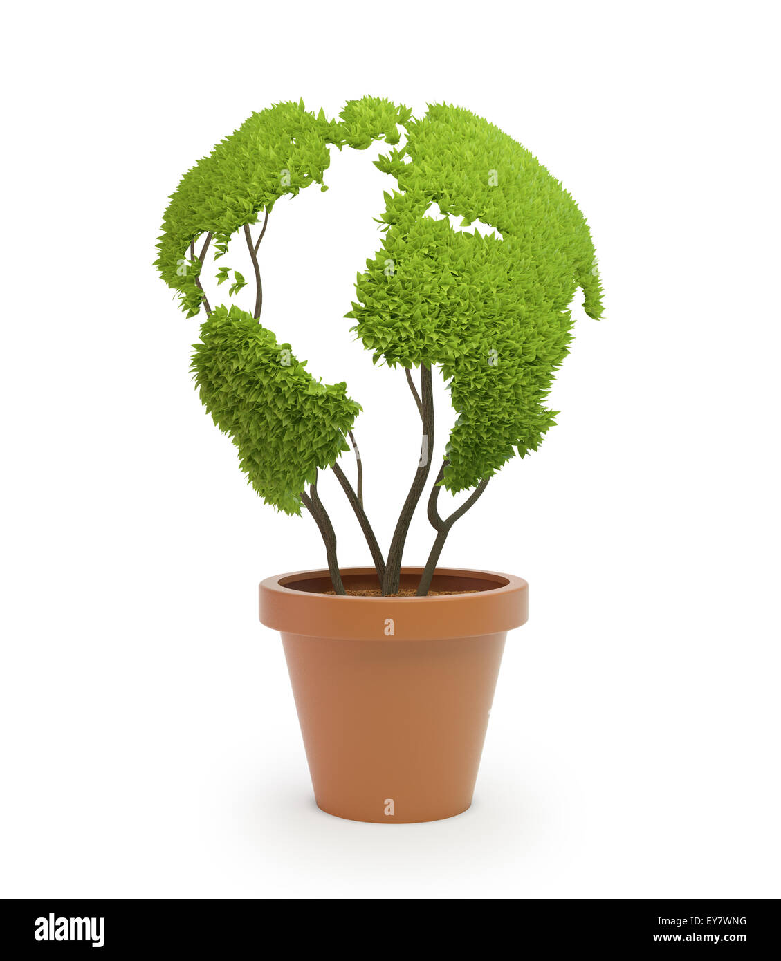 Topfpflanze, geformt wie eine Weltkarte - Ökologie und grüne Lifestyle-Konzept Stockfoto