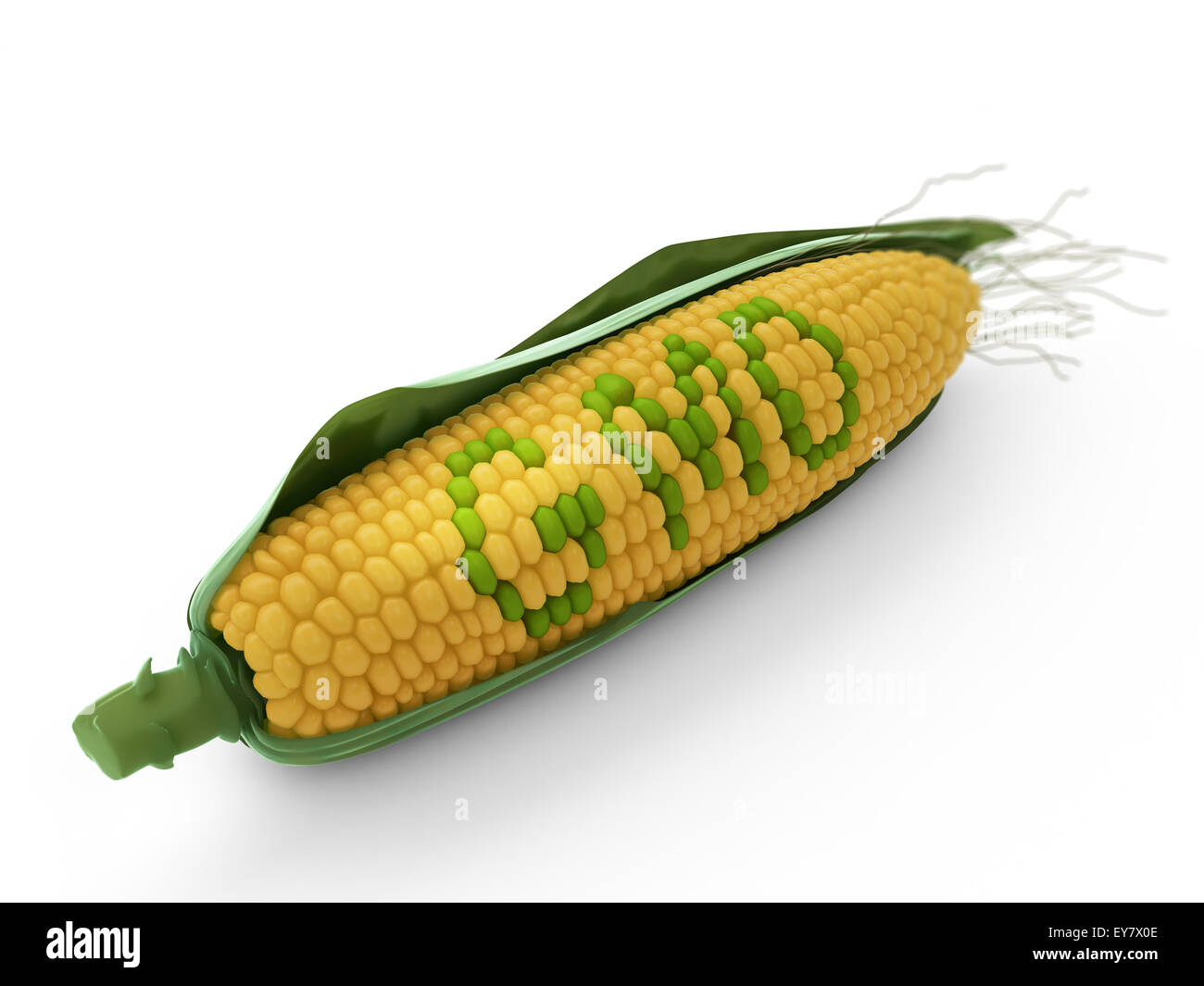 GVO Mais - landwirtschaftliche Genetikforschung Stockfoto