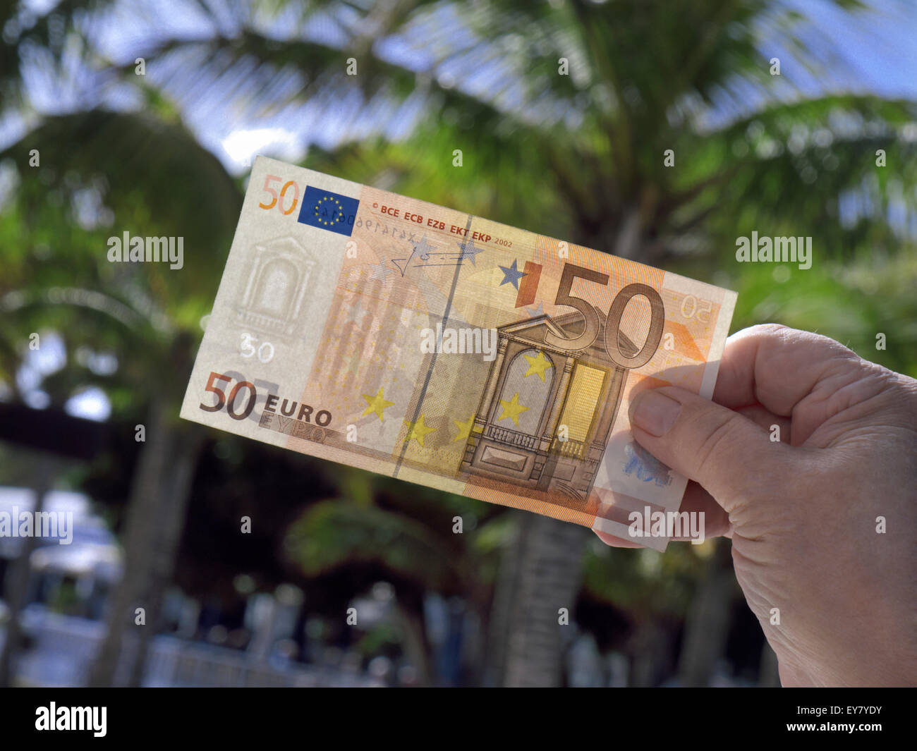 Hand mit 50 €-Schein mit generischen Sonnenpalmen dahinter Stockfoto