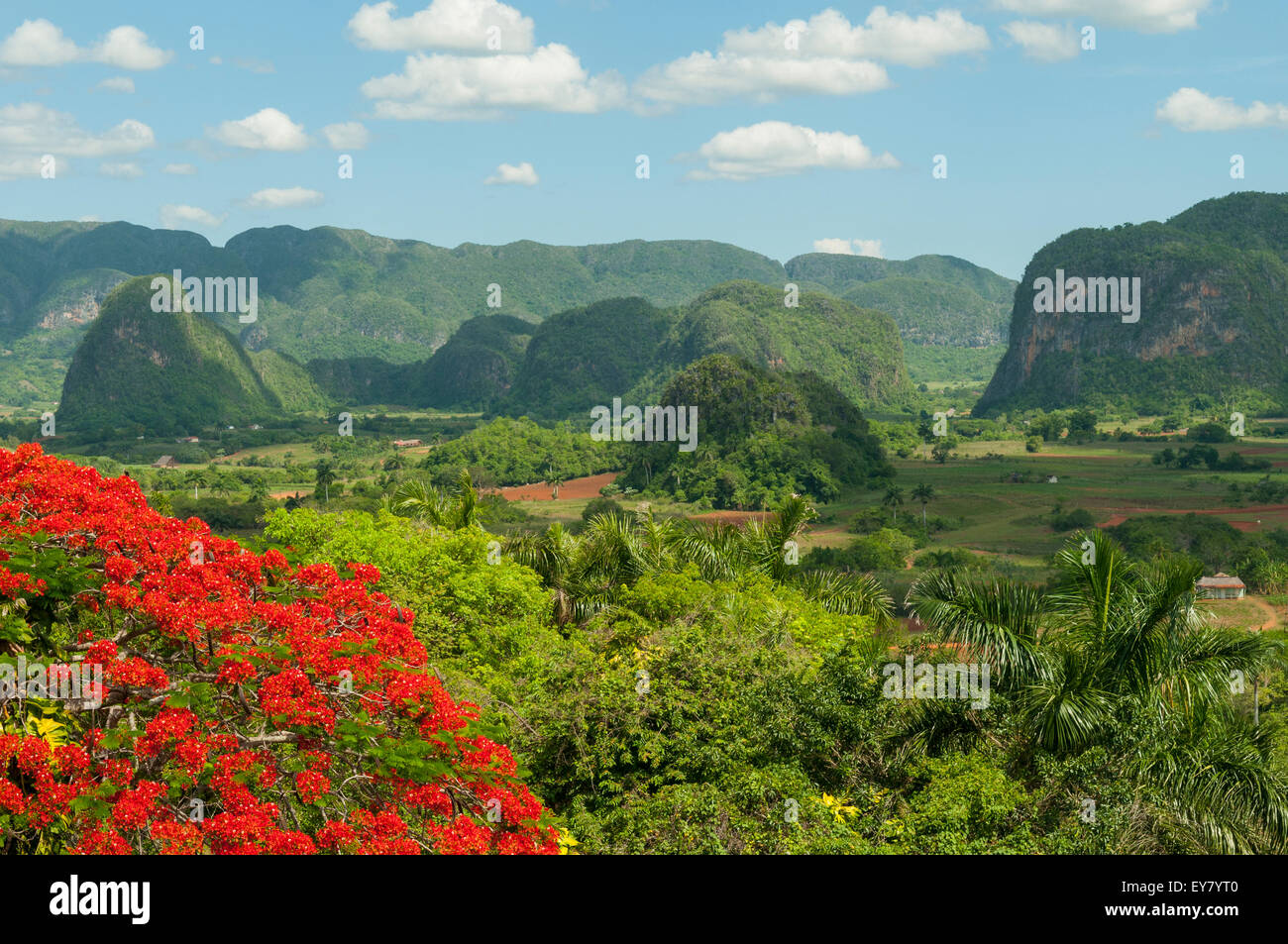 Tal von Vinales, Kuba Stockfoto