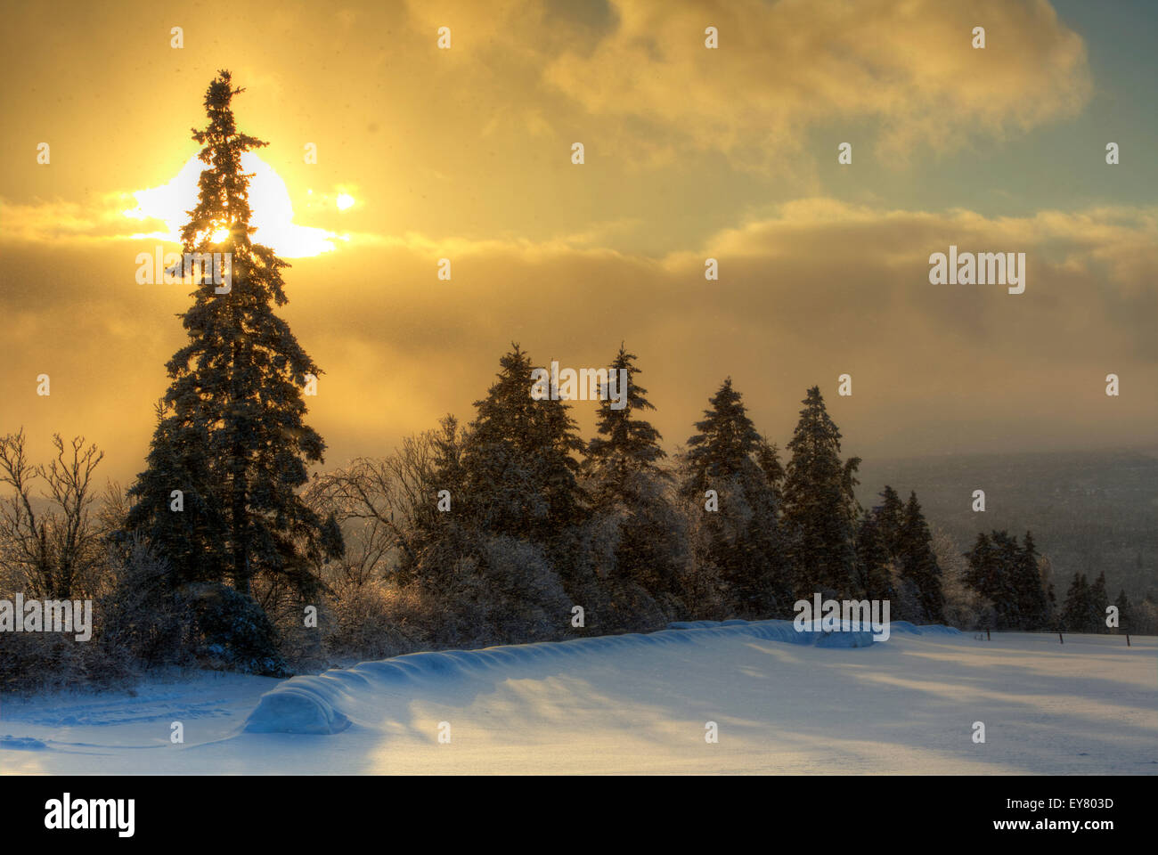 HDR-Bild einer späten Nachmittag Sonne und Schnee-Dusche in New Brunswick, Kanada. Stockfoto
