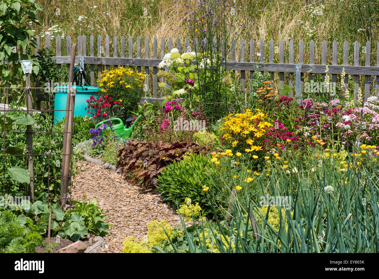 Bauerngarten, Mühlacker, Baden-Württemberg, Deutschland Stockfoto