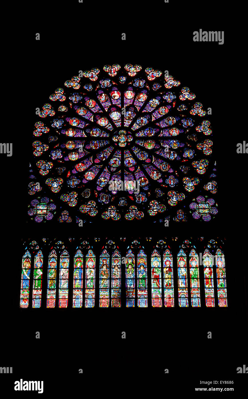 Kathedrale Notre-Dame. Paris. Frankreich. Europa Stockfoto