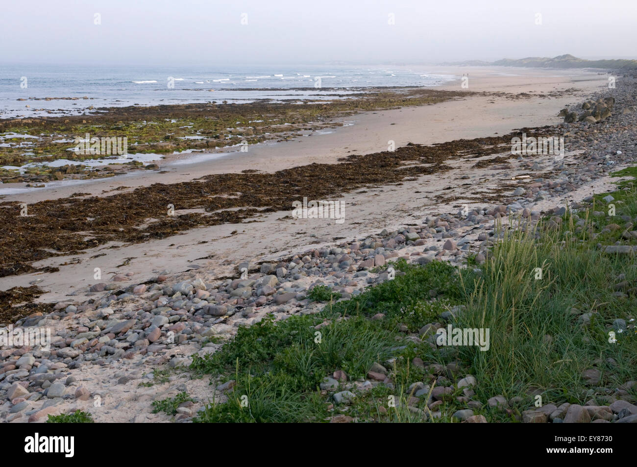 Strand bei Ebbe, Sinclair Bay, Caithness, Schottland Stockfoto