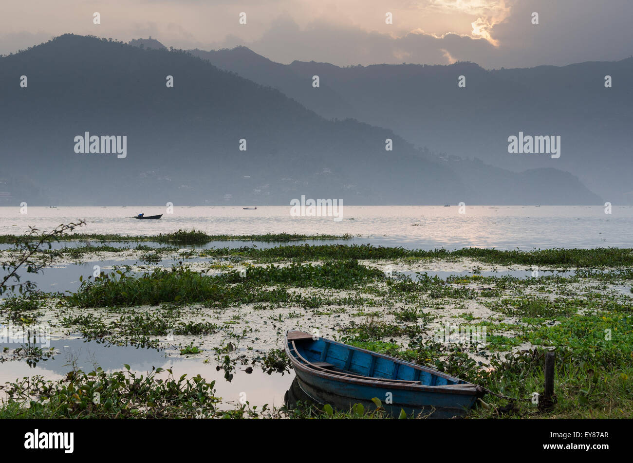 Ruderboote am Phewa-See, Pokhara, Nepal Stockfoto