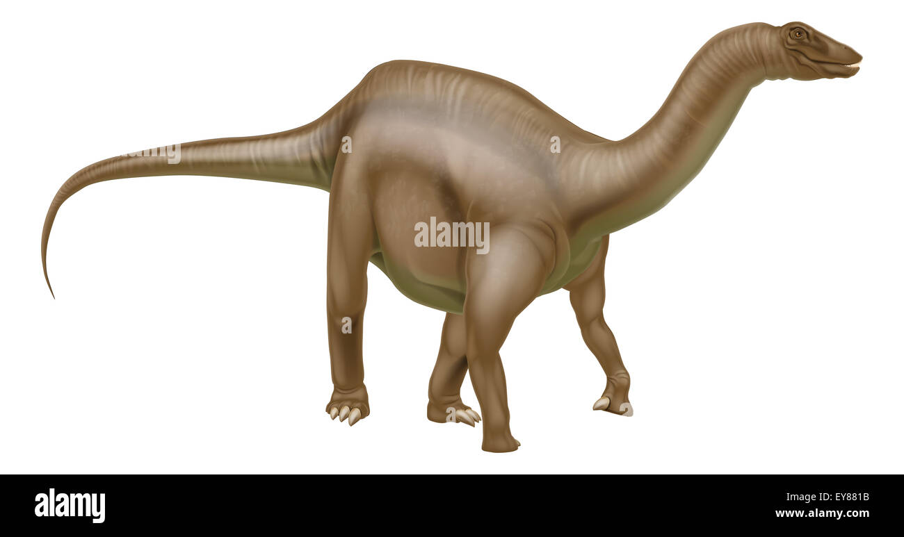 Ein Diplodocus Dinosaurier aus der Familie der Sauropoden Brachiosaurus, Supersaurus und andere Langhals Dinosaurier. Was früher wir ca Stockfoto