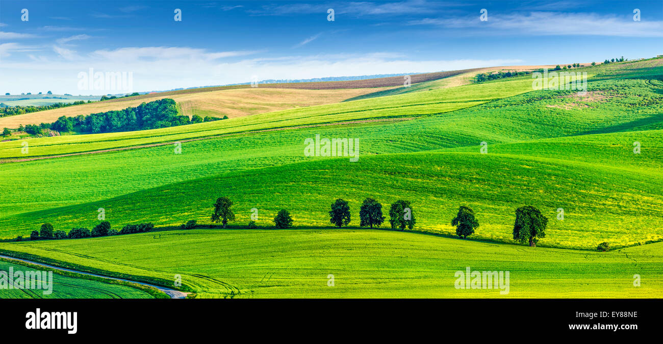 Panorama der mährischen Hügellandschaft mit Bäumen. Süd-Mähren, Tschechische Republik Stockfoto