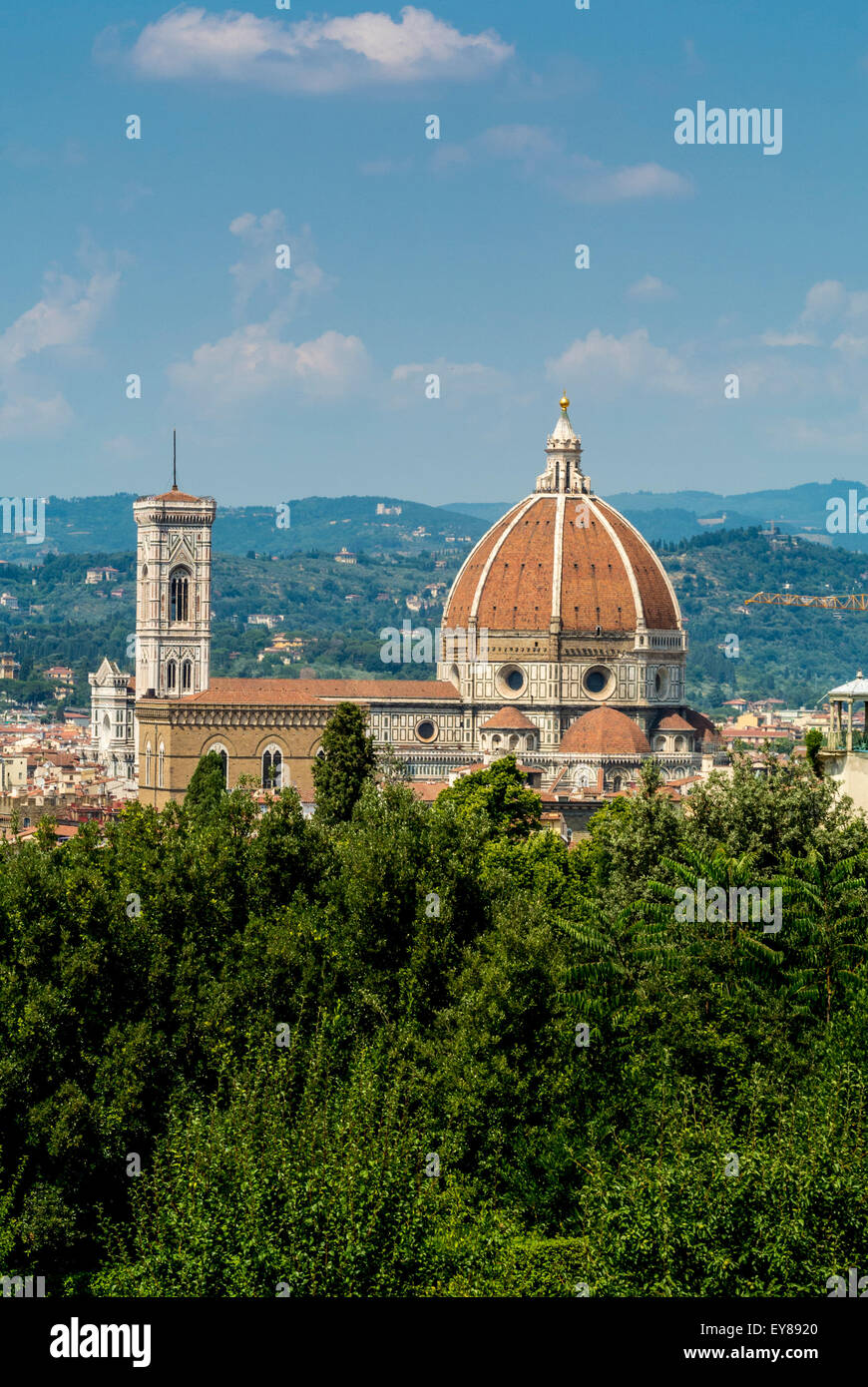 Erhöhter Blick auf die Kathedrale von Florenz vom Fort Belvedere aus gesehen. Florenz, Italien. Stockfoto