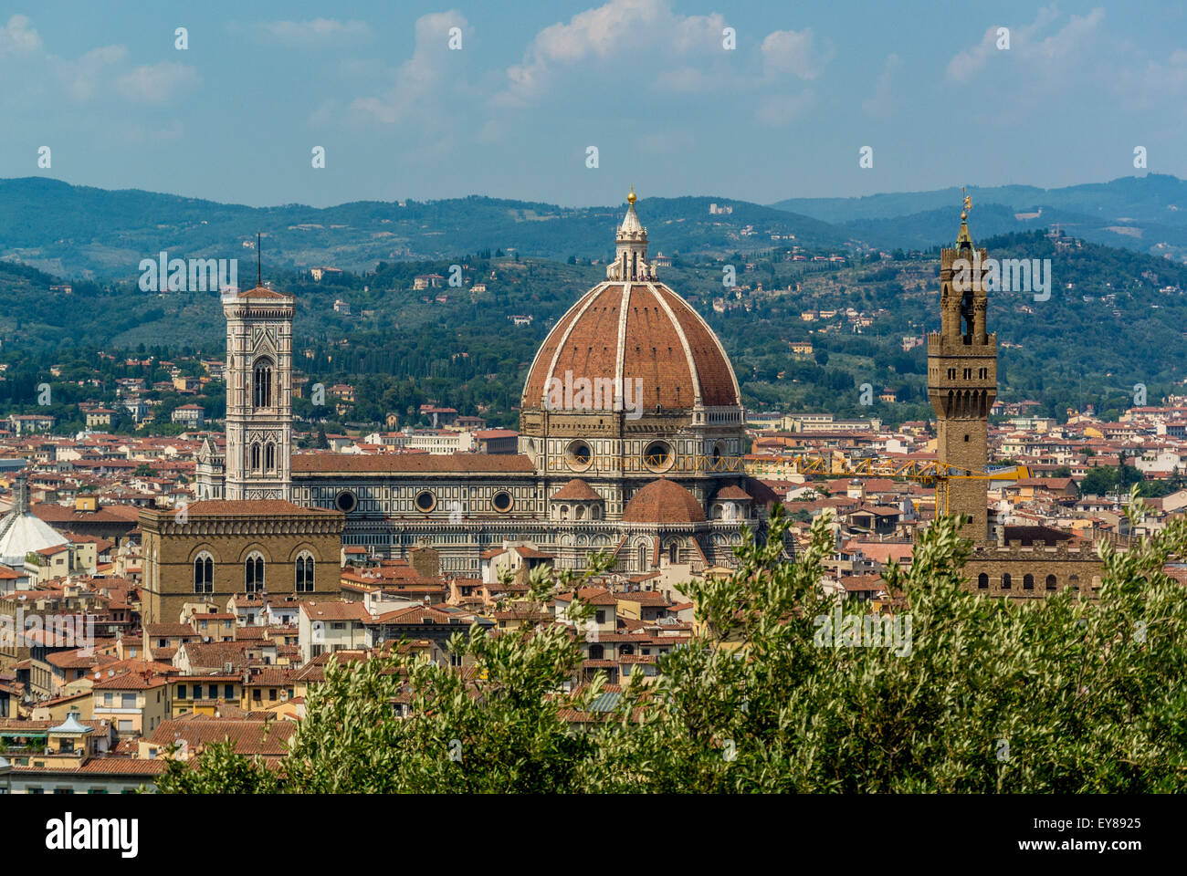 Kathedrale von Florenz vom erhöhten Aussichtspunkt des Fort Belverdere aus gesehen. Florenz. Italien. Stockfoto