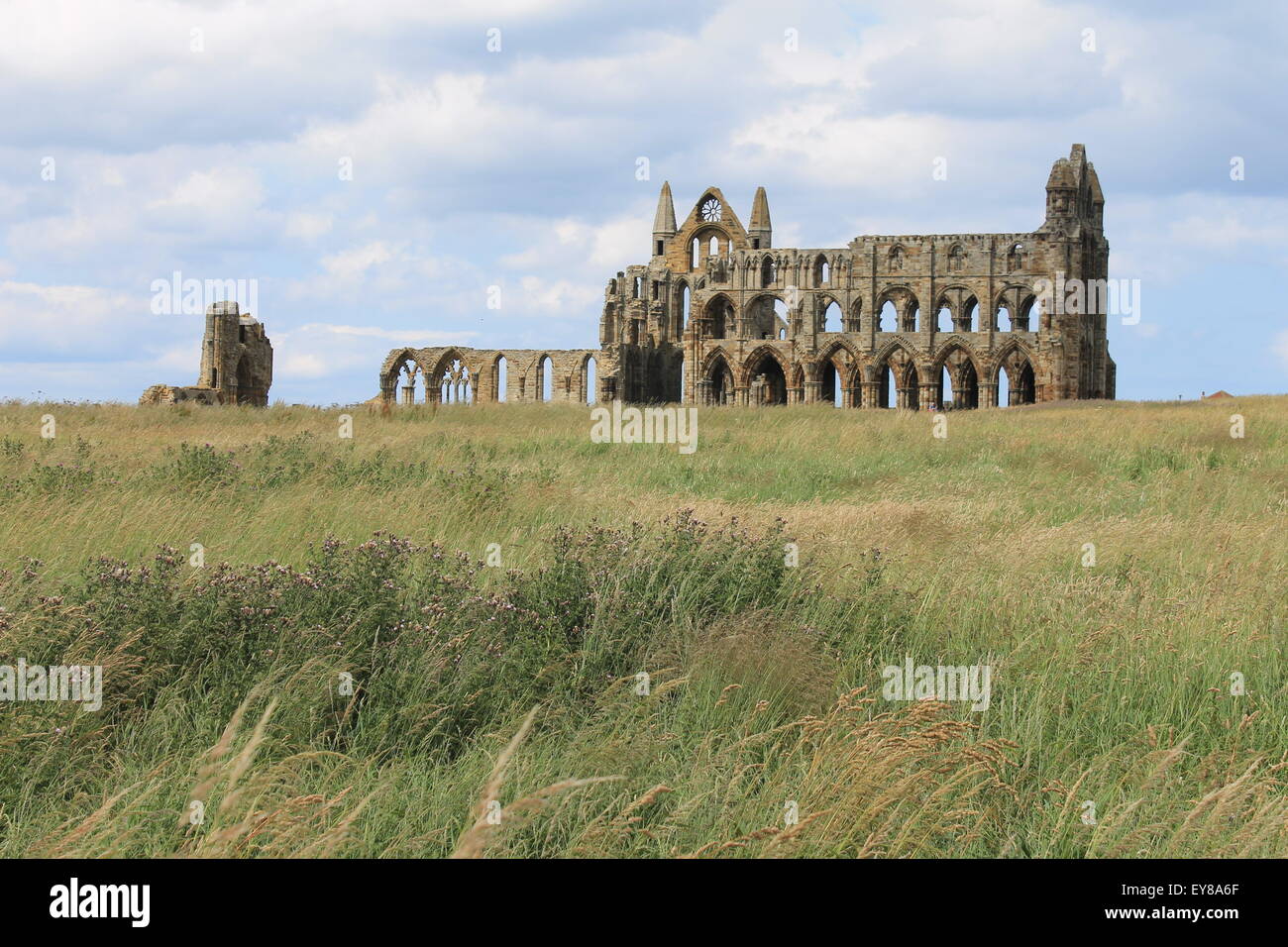 Whitby Abtei, Südansicht, entnommen Caedmon Pfad, Whitby, North Yorkshire, England, UK Stockfoto