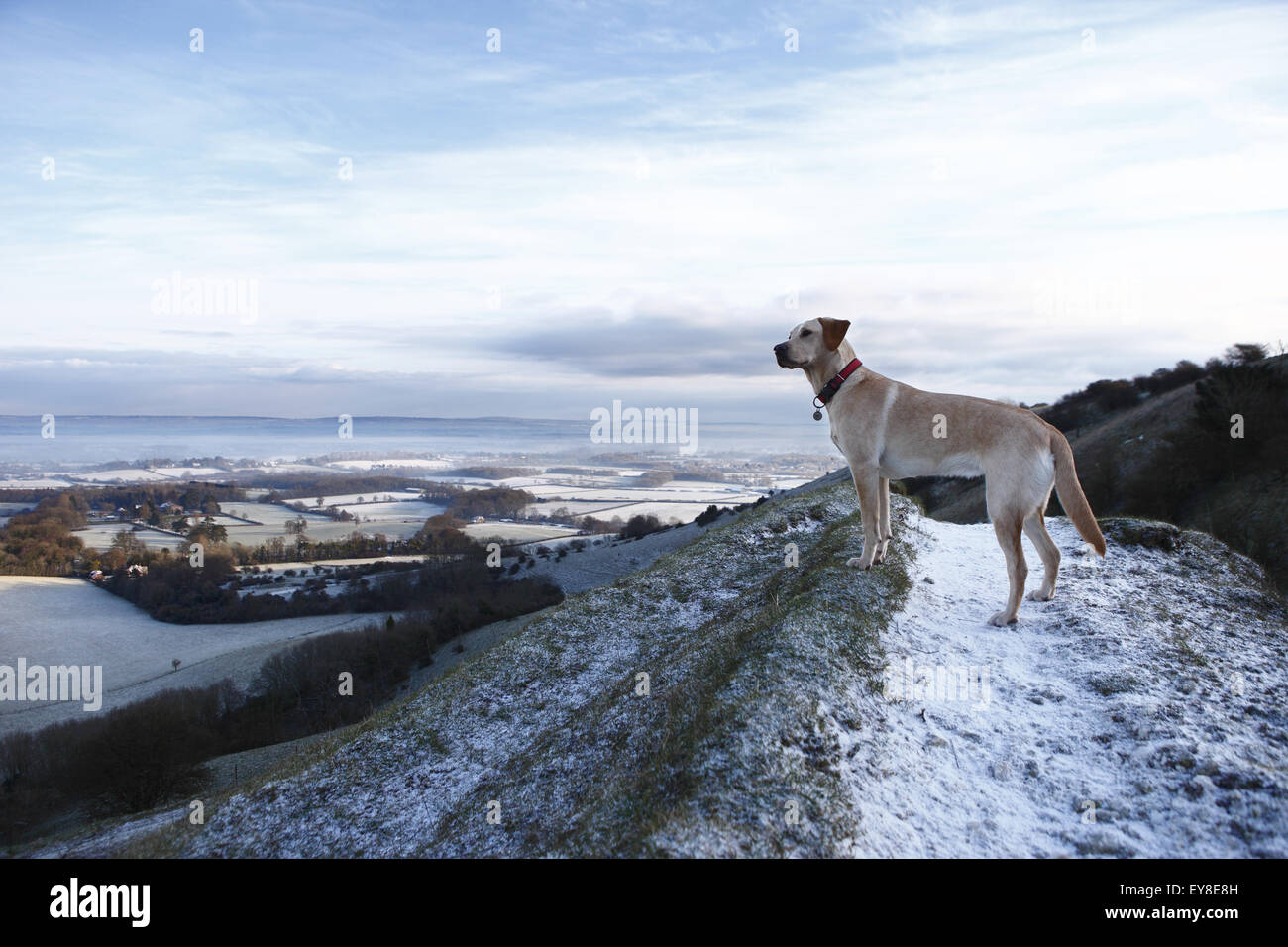 Ditchling Beacon an einem kalten und Schnee verstreut Wintertag auf der South Downs Way, Sussex, England, UK. Stockfoto