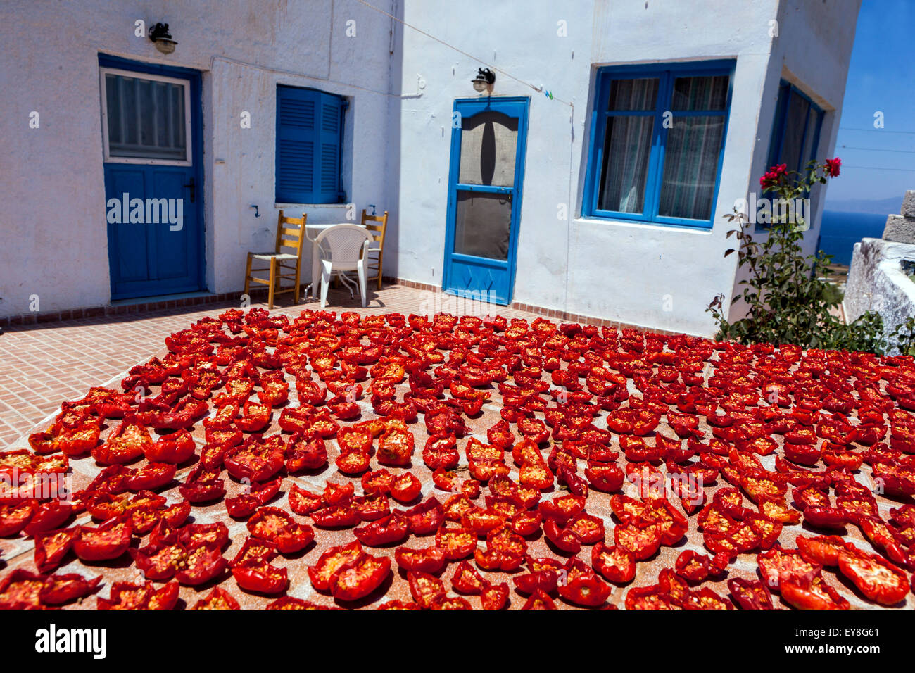 Getrocknete Tomaten griechisches Dorf Oia, Santorini Griechenland Tomatenfutter Stockfoto