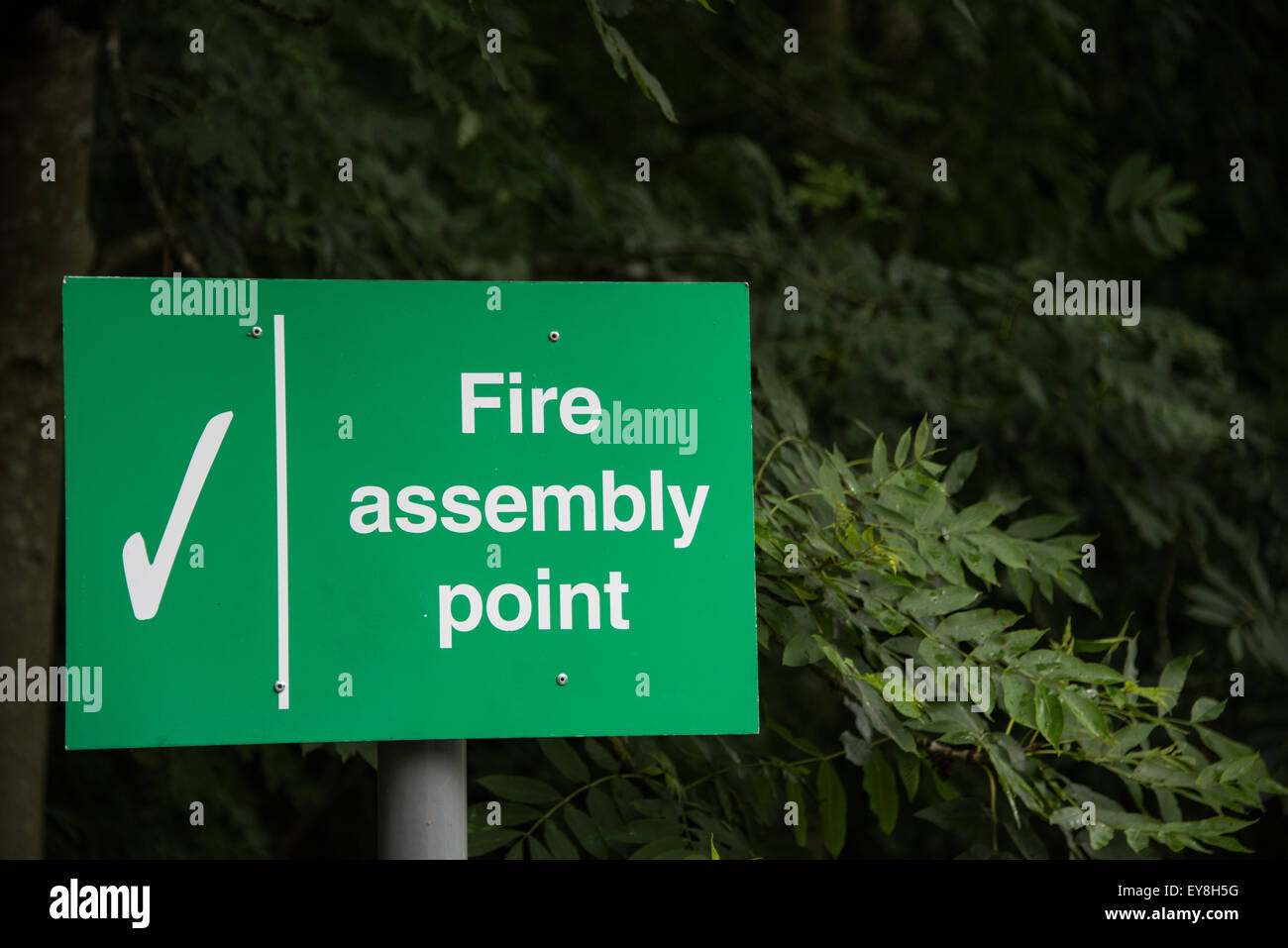 Feuer Versammlung Punkt Zeichen grün Stockfoto