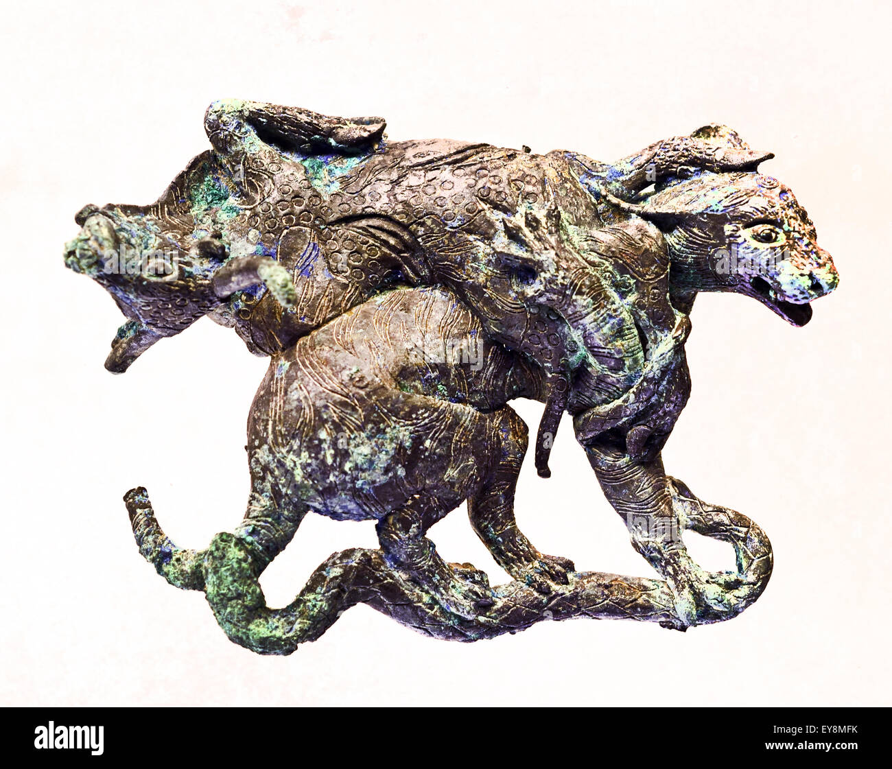Archaische Bronzetafel, die einen wilden Tiger und Leoparden zeigt, der ein Wildschwein angreift, aus der westlichen Han-Dynastie aus dem Königreich Yunnan Dian, ausgestellt im Shanghai Museum. - Goldschmuck der Tierbekämpfung - Western Han ( 206 v. Chr. A.D. 8 Bronze Shanghai Museum of Old Chinese Art China Stockfoto