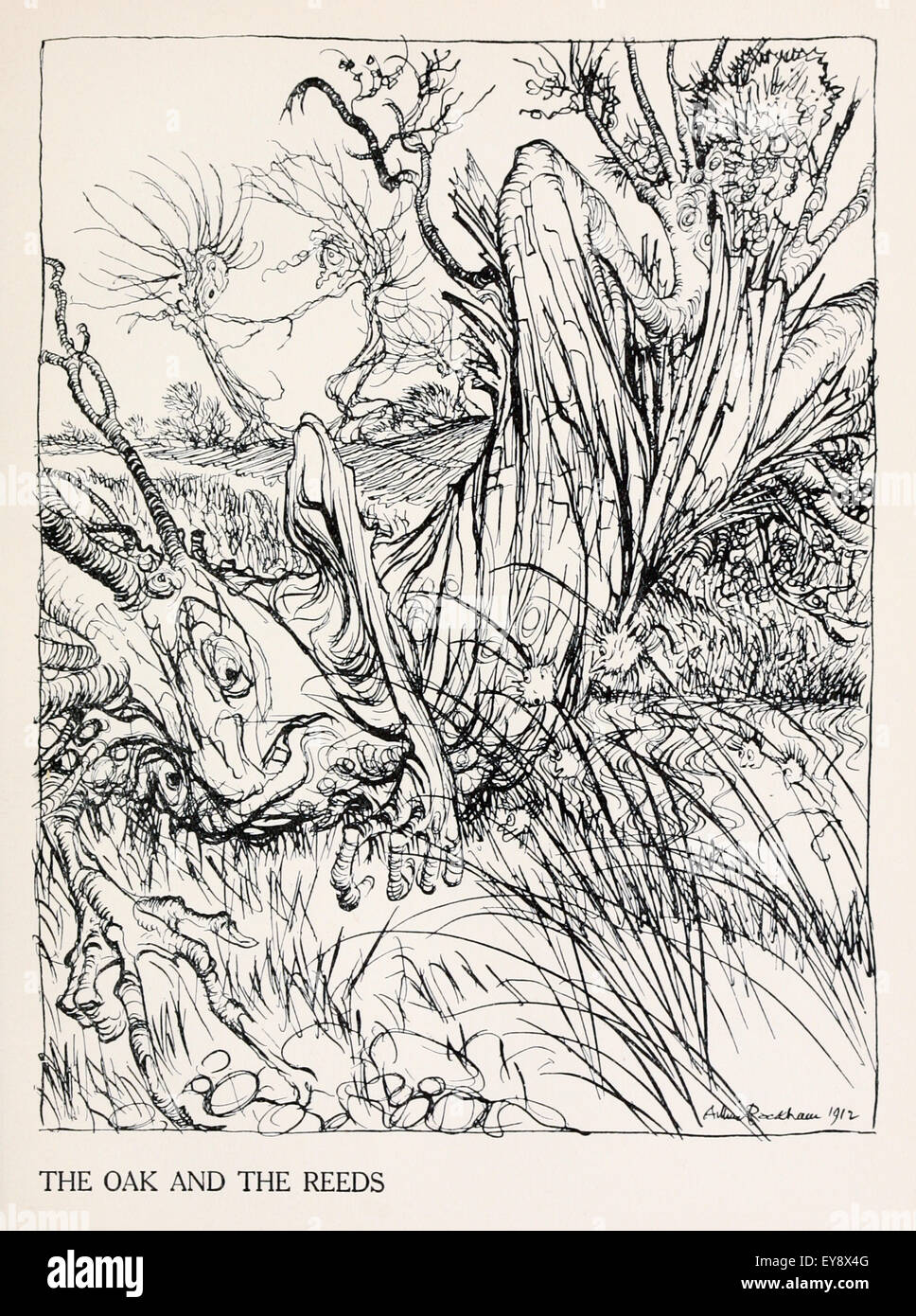 "Die Eiche und das Schilf" Fabel von Aesop (ca. 600). Eine Eiche ist umgeweht und sagt das Schilf wieso Sie überlebt, auf die sie, dass Sie gegen den Sturm gekämpft haben Antworten, während wir gebeugt und ergab.  Illustration von Arthur Rackham (1867-1939). Siehe Beschreibung für mehr Informationen. Stockfoto