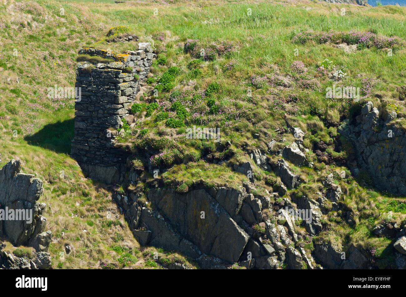 Ruinen der Burg Feder, Nr Burrow Kopf, Wigtownshire Küste, Dumfries and Galloway, Schottland, UK Stockfoto