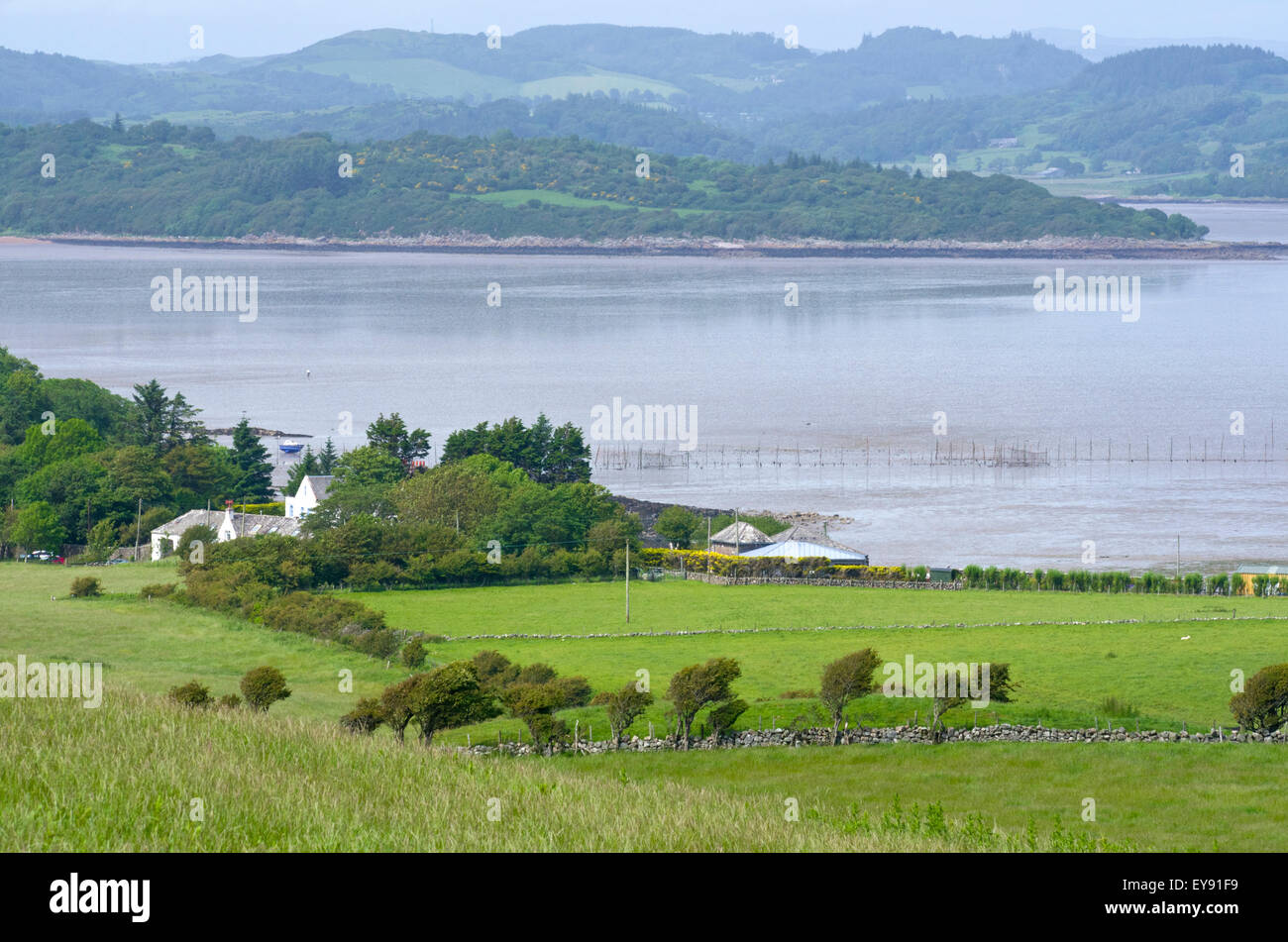 Balcary Bay mit Auchencairn & Torr Bay Hill (Mitte) in den Hintergrund, Solway Küste, Dumfries & Galloway, Schottland, Großbritannien Stockfoto