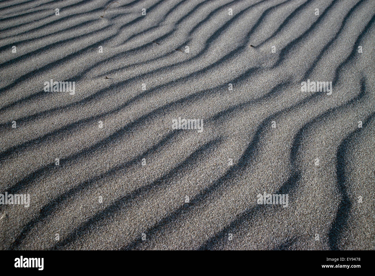 Wave Line Textur im Sand am Strand Stockfoto