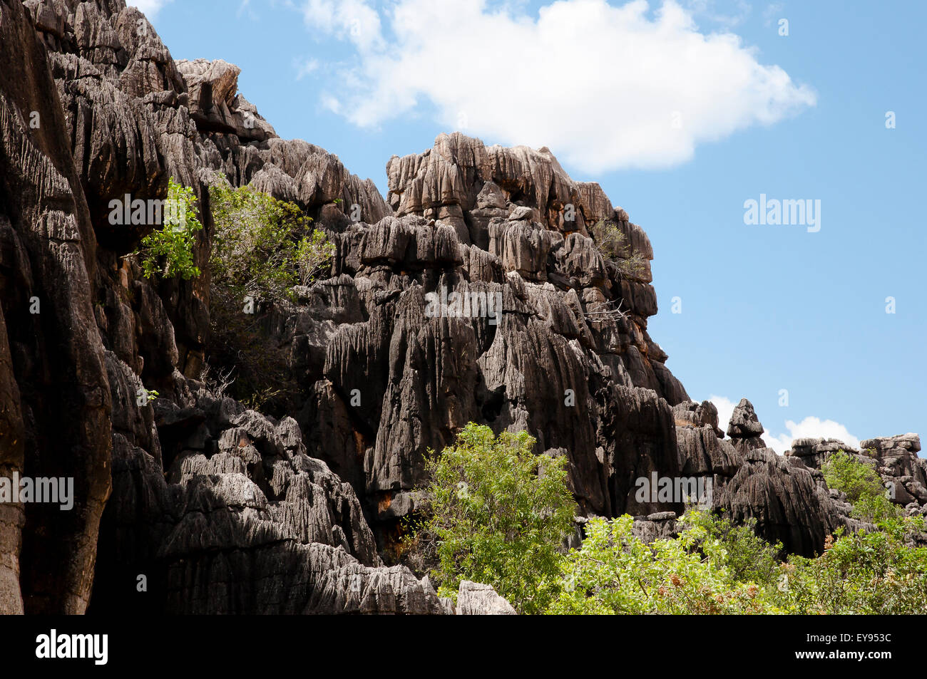 Geikie Gorge National Park - Kimberley - Australien Stockfoto