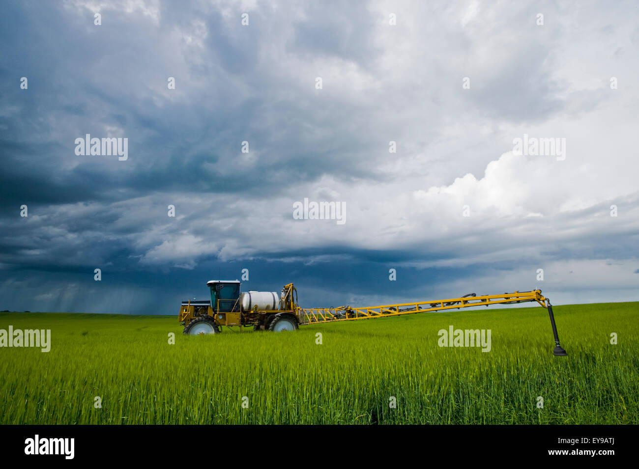 Kanada, Getreide, Feld, Traktor, Gerste, Gewitterwolke Stockfoto