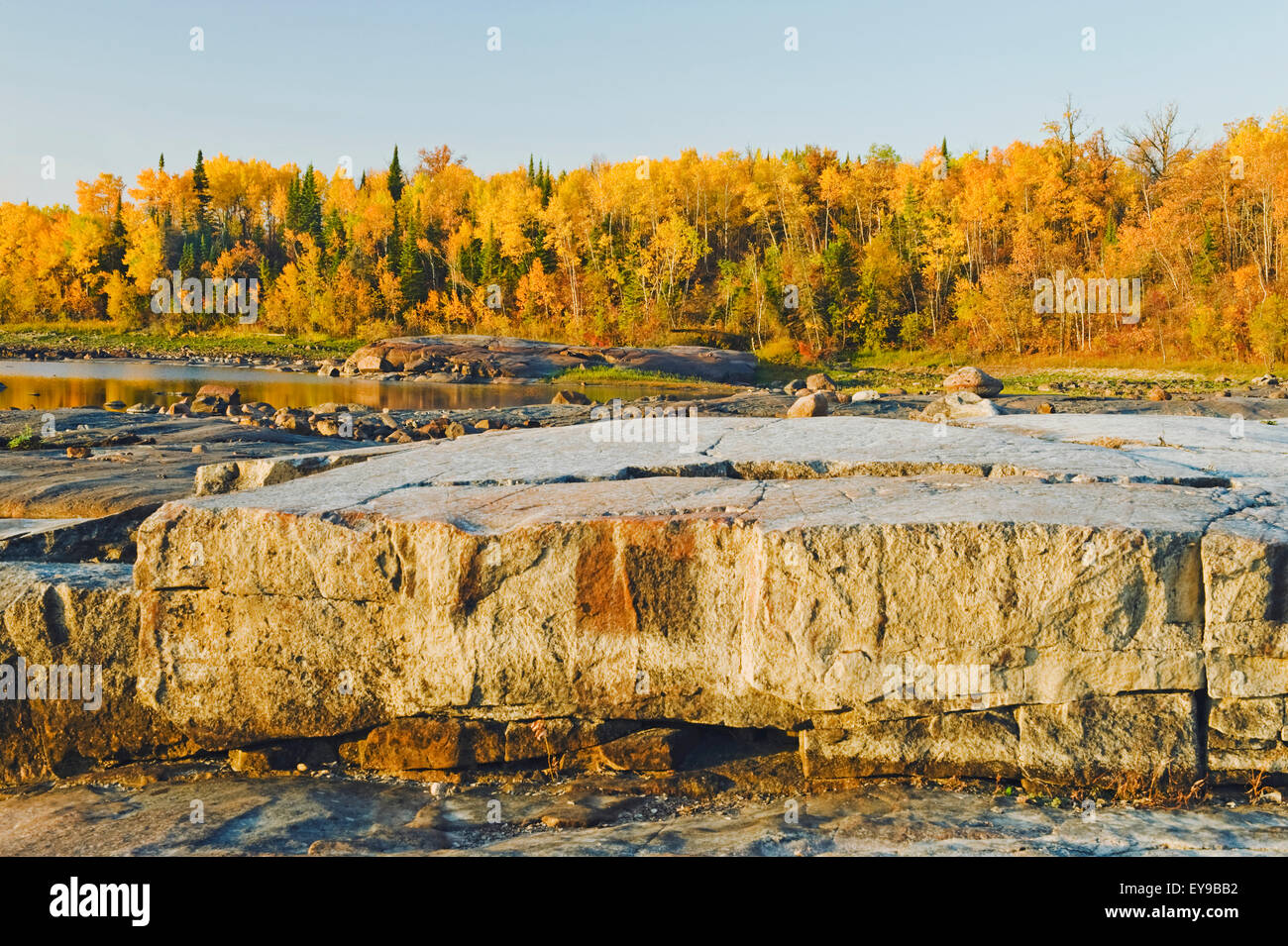 Präkambrischen Schild Felsen entlang des Winnipeg River in der Nähe von sieben Schwestern; Manitoba, Kanada Stockfoto